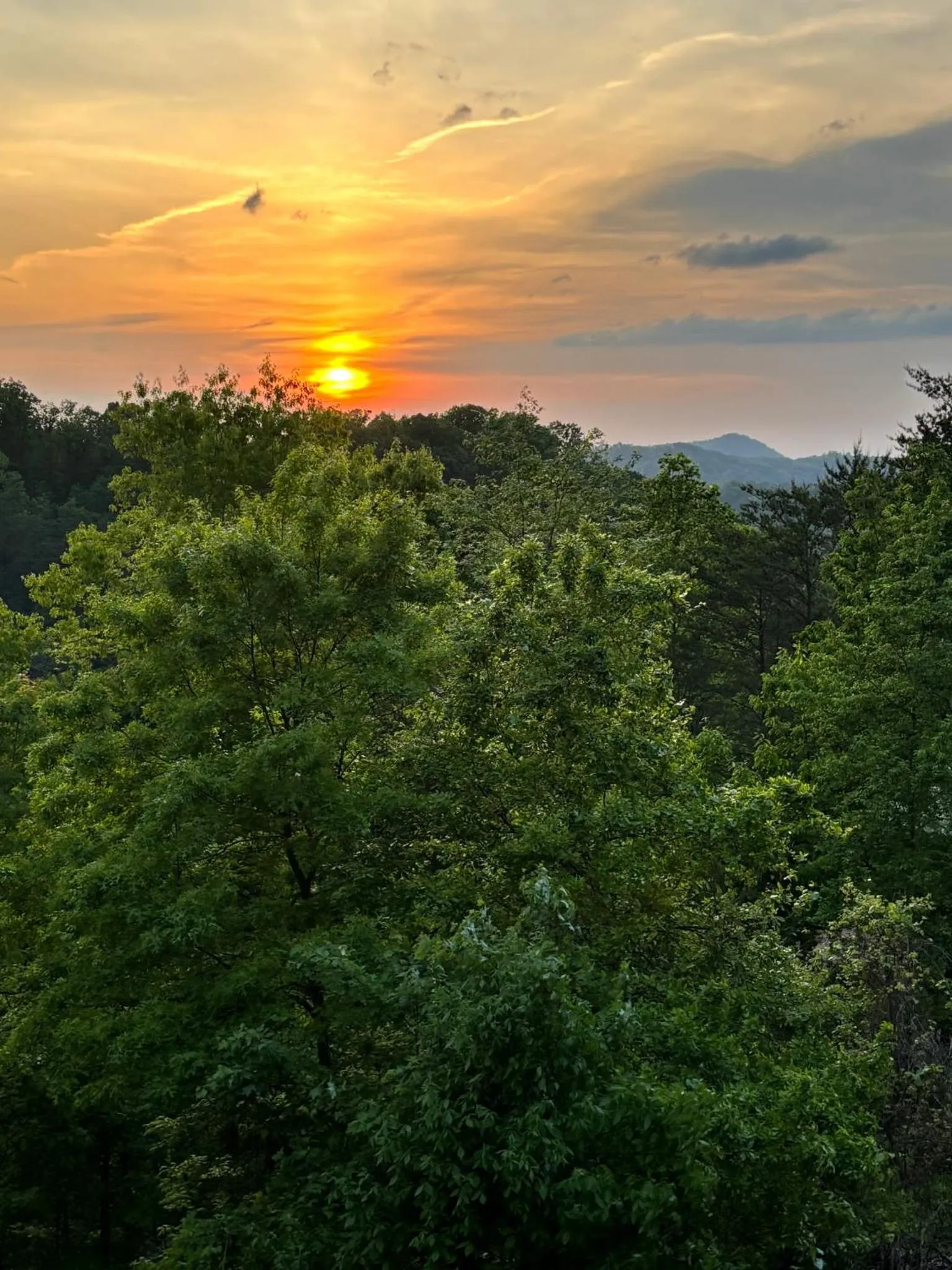 Bear Elegance - Theater Room, Secluded, Heart Shaped Tub!!!