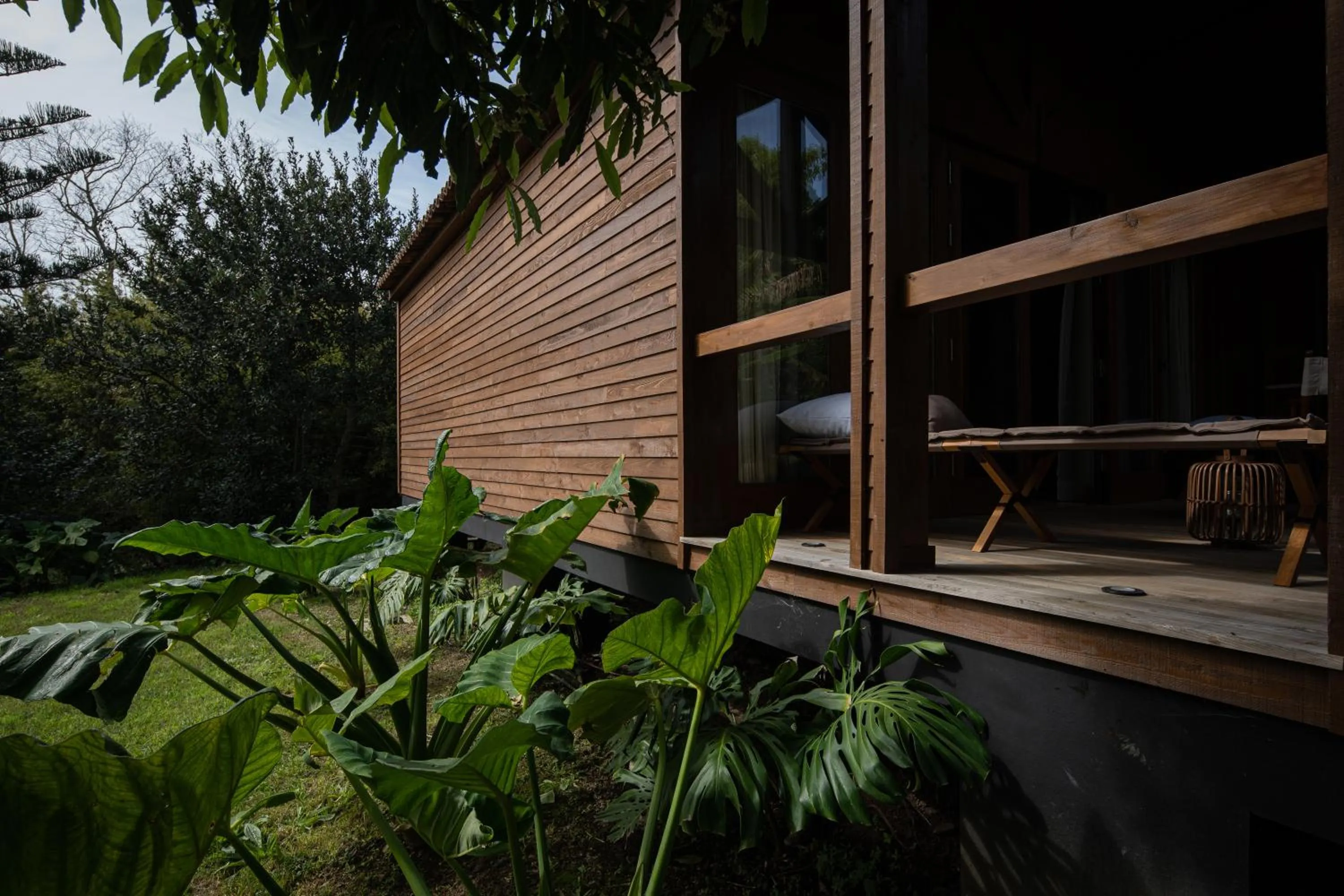 Balcony/Terrace in Senhora da Rosa, Tradition & Nature Hotel