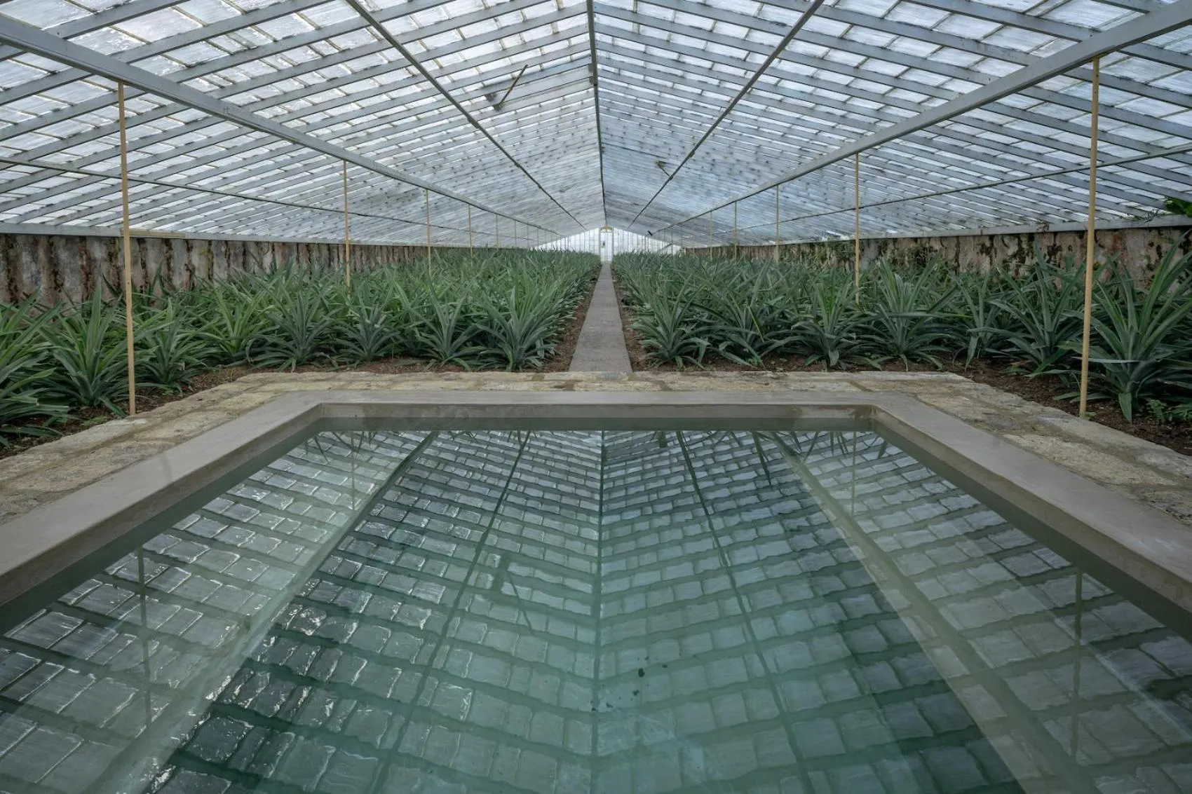 Spa and wellness centre/facilities in Senhora da Rosa, Tradition & Nature Hotel