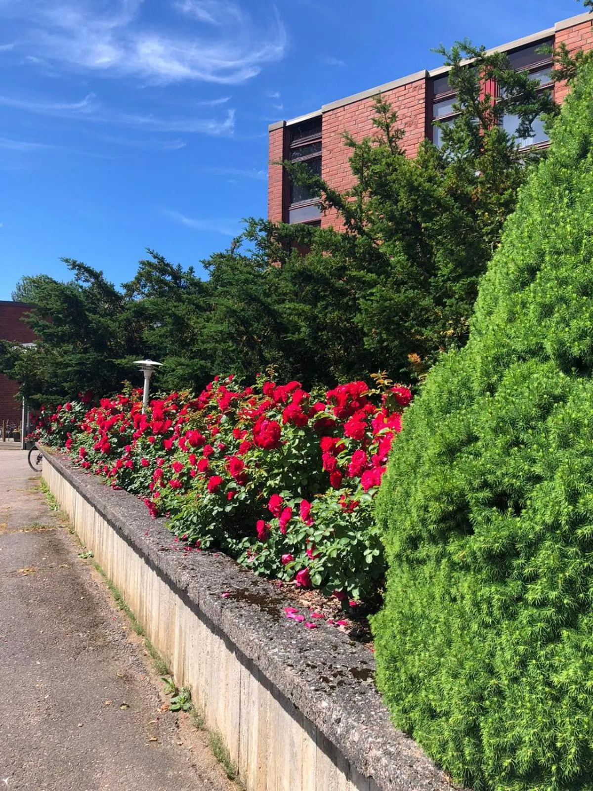 Hotel & Hostel Silmu