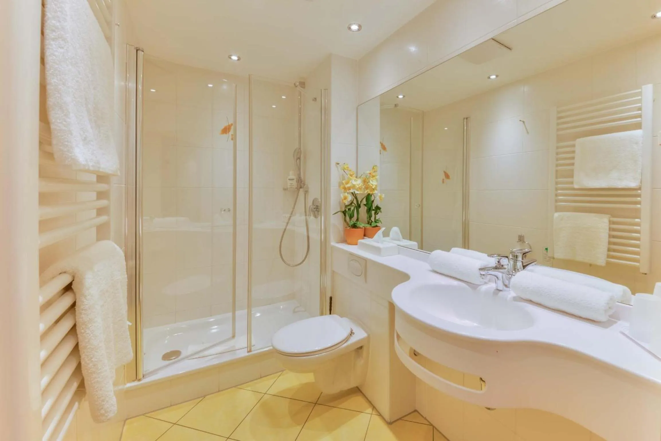 Shower in ateckhotel Kirchheim/Teck