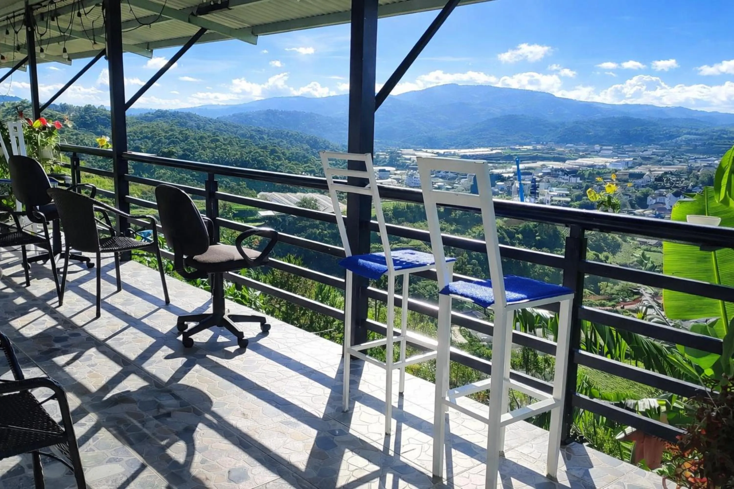 Day in Da Lat Ngoi Sao Viet