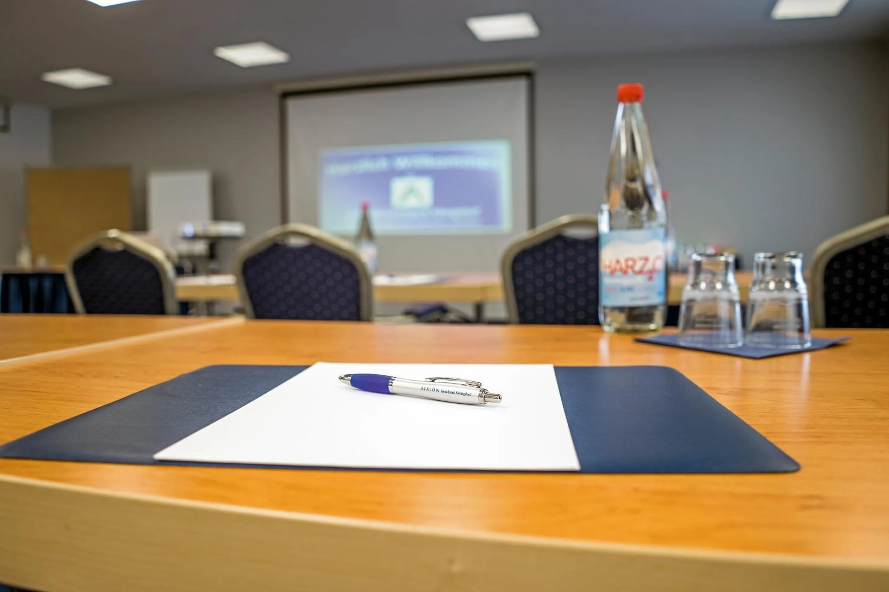 Meeting/conference room in AVALON Hotelpark Königshof