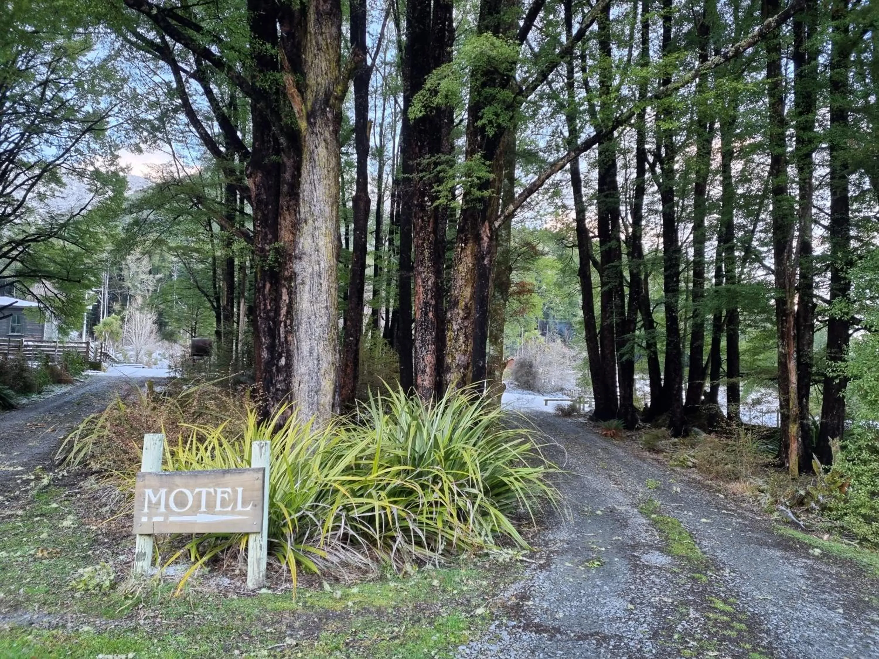 Natural landscape in Lewis Pass Motels