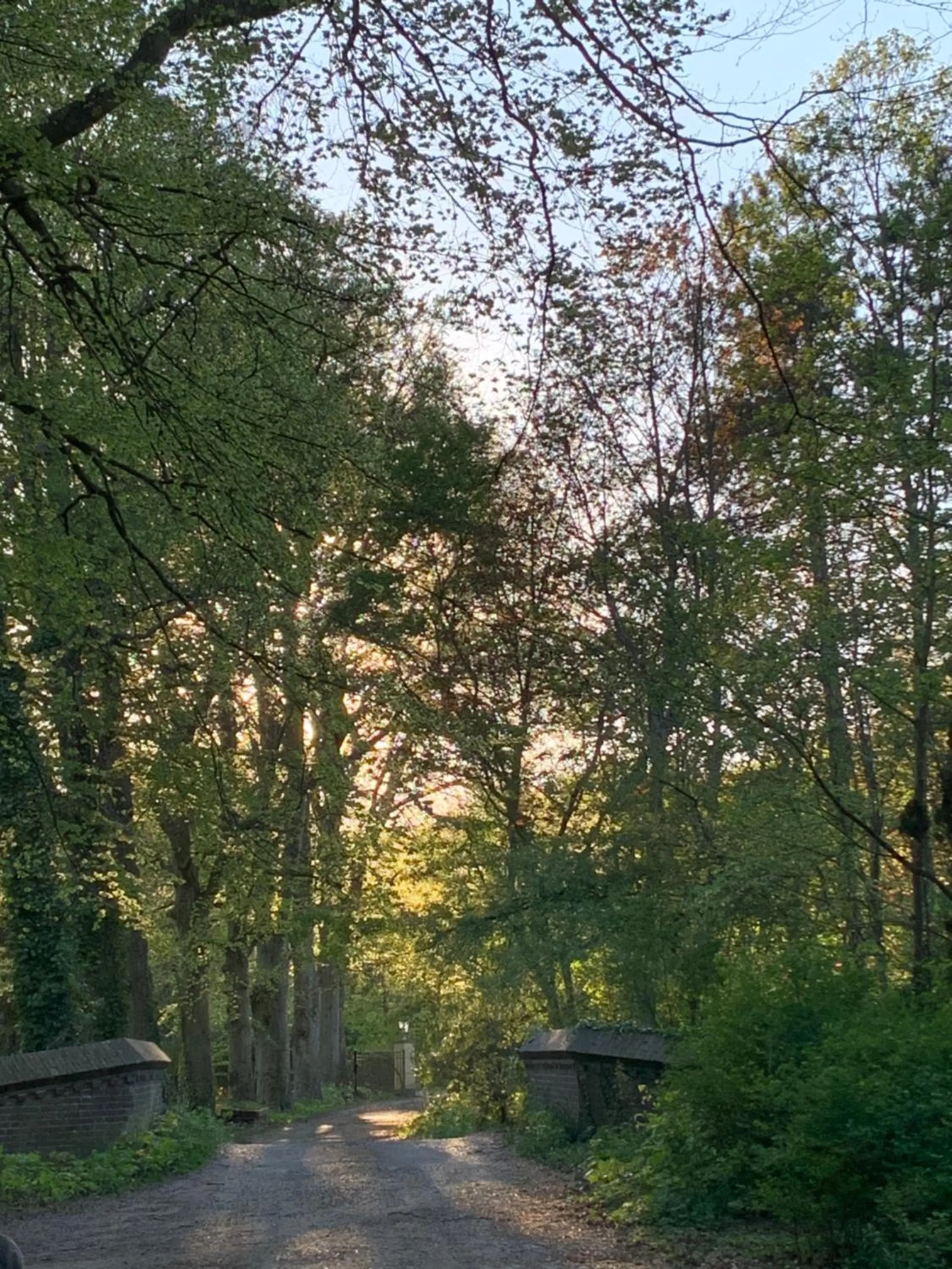 Natural landscape in Elswoutshoek Suites