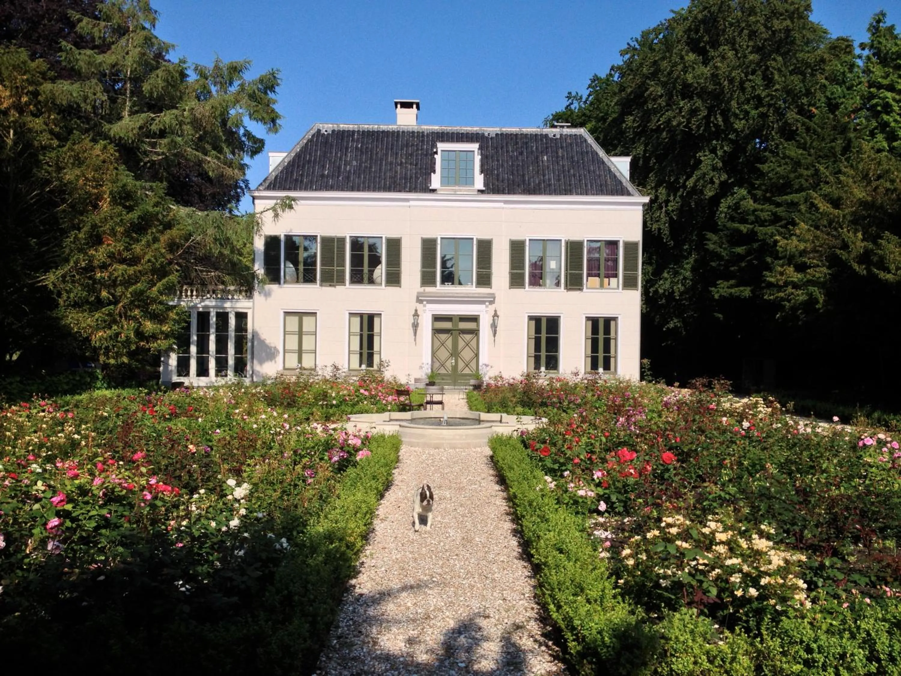 Garden in Elswoutshoek Suites