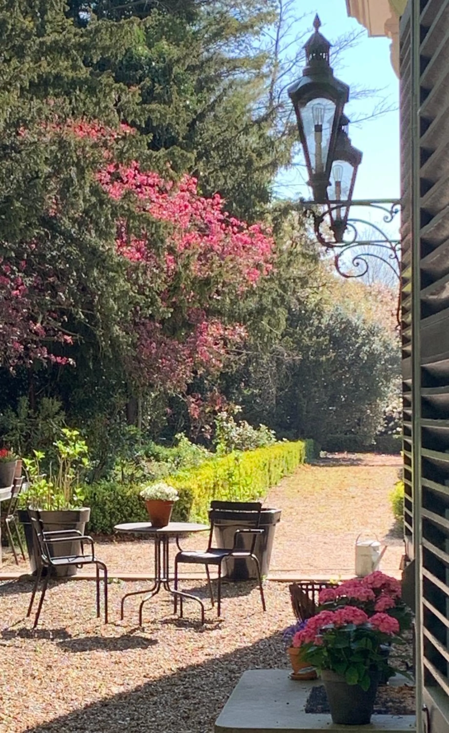 Garden in Elswoutshoek Suites