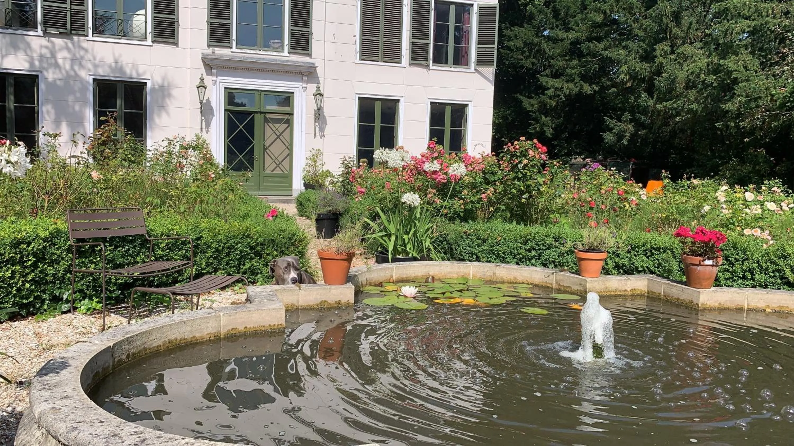 Garden in Elswoutshoek Suites