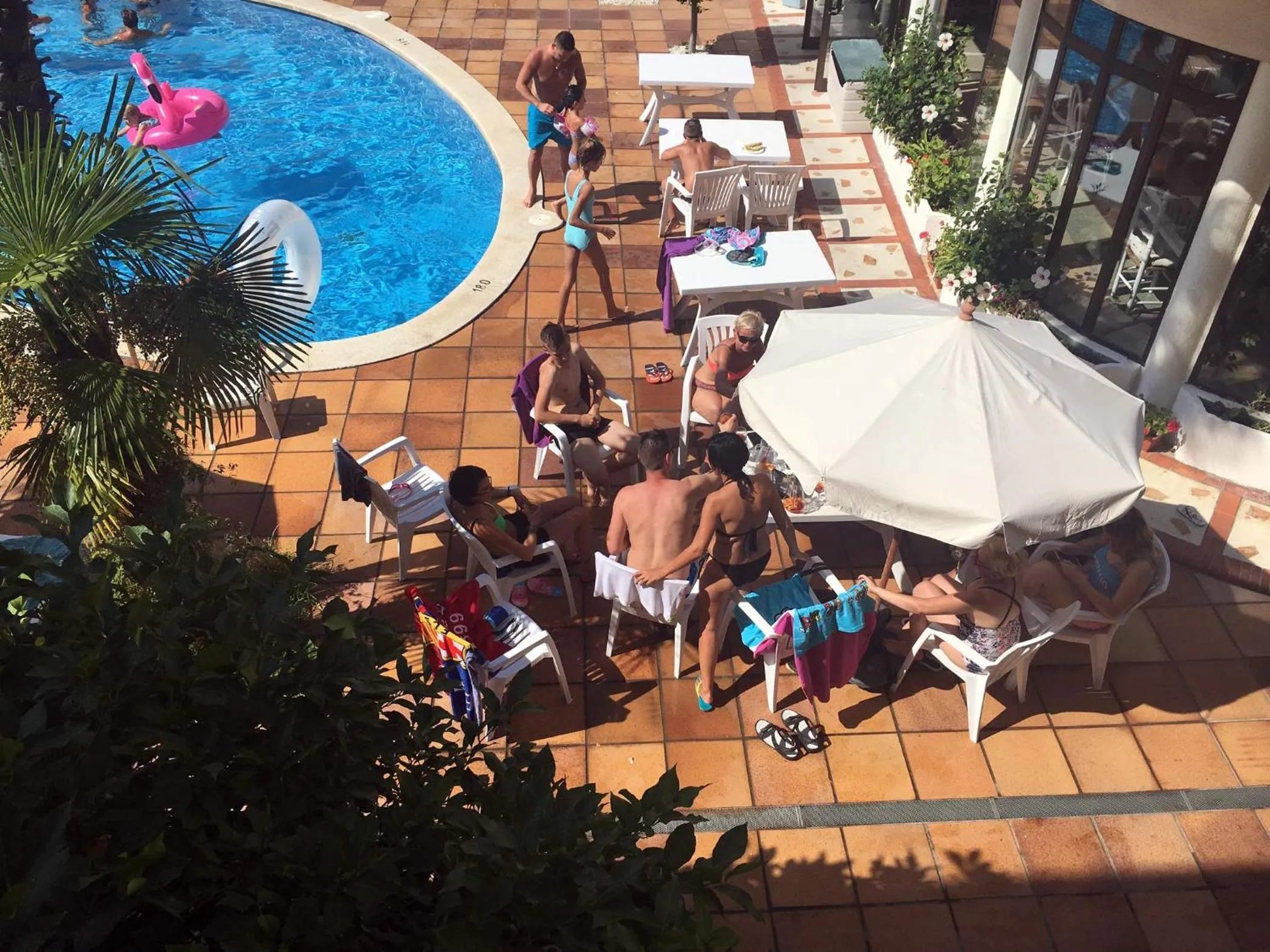 Garden in Hotel Mireia