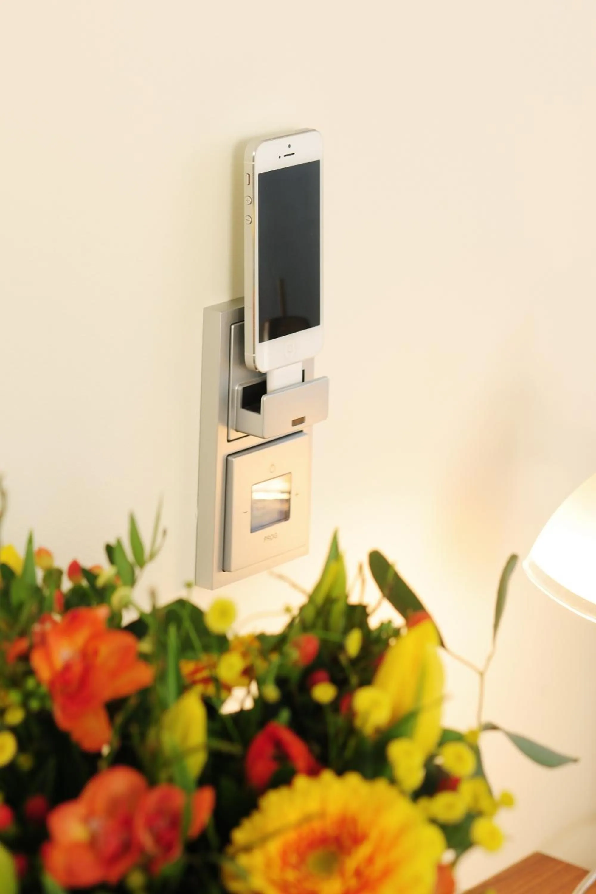 TV and multimedia in GuestHouse Mainz