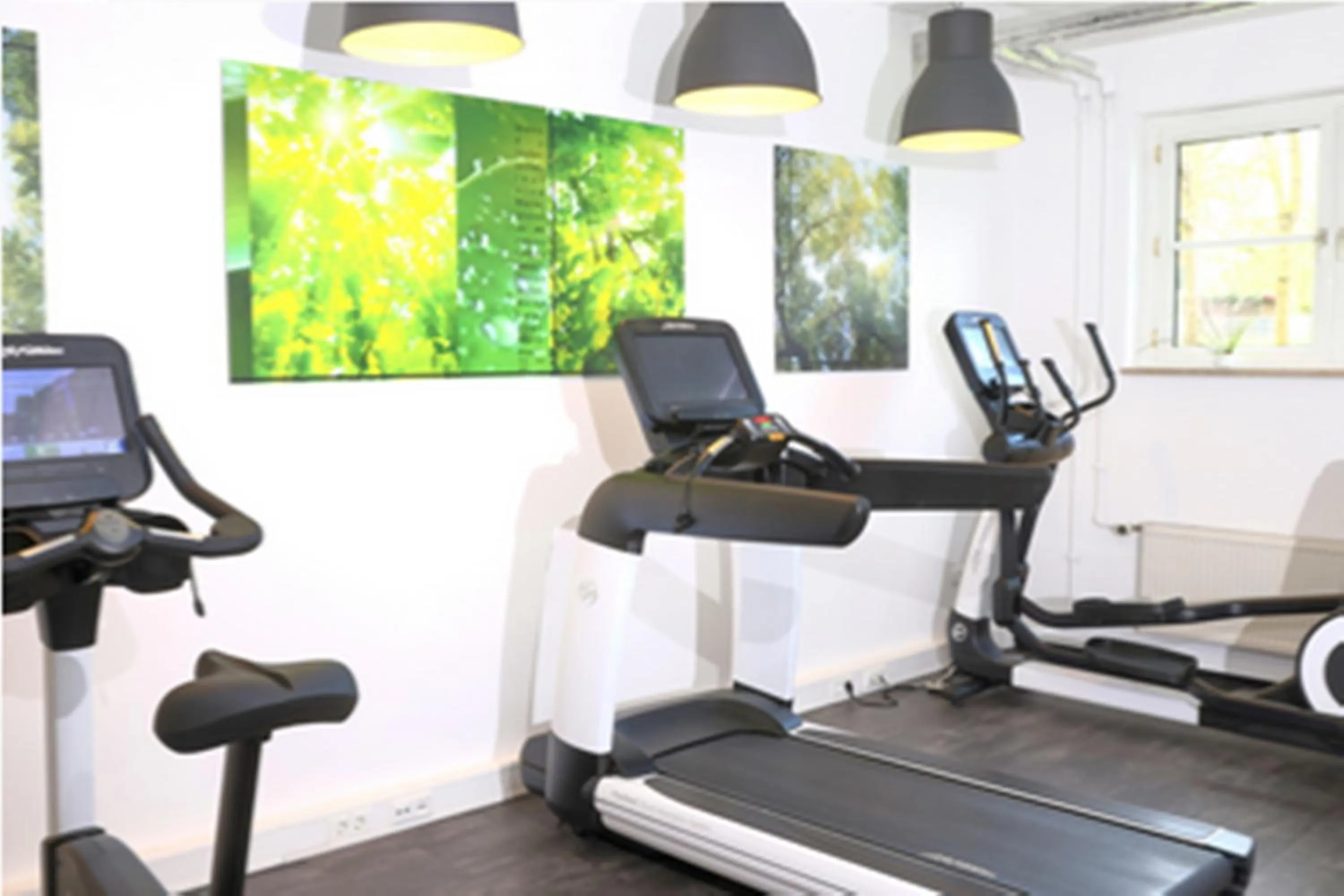 Fitness centre/facilities in Hotel Alarun
