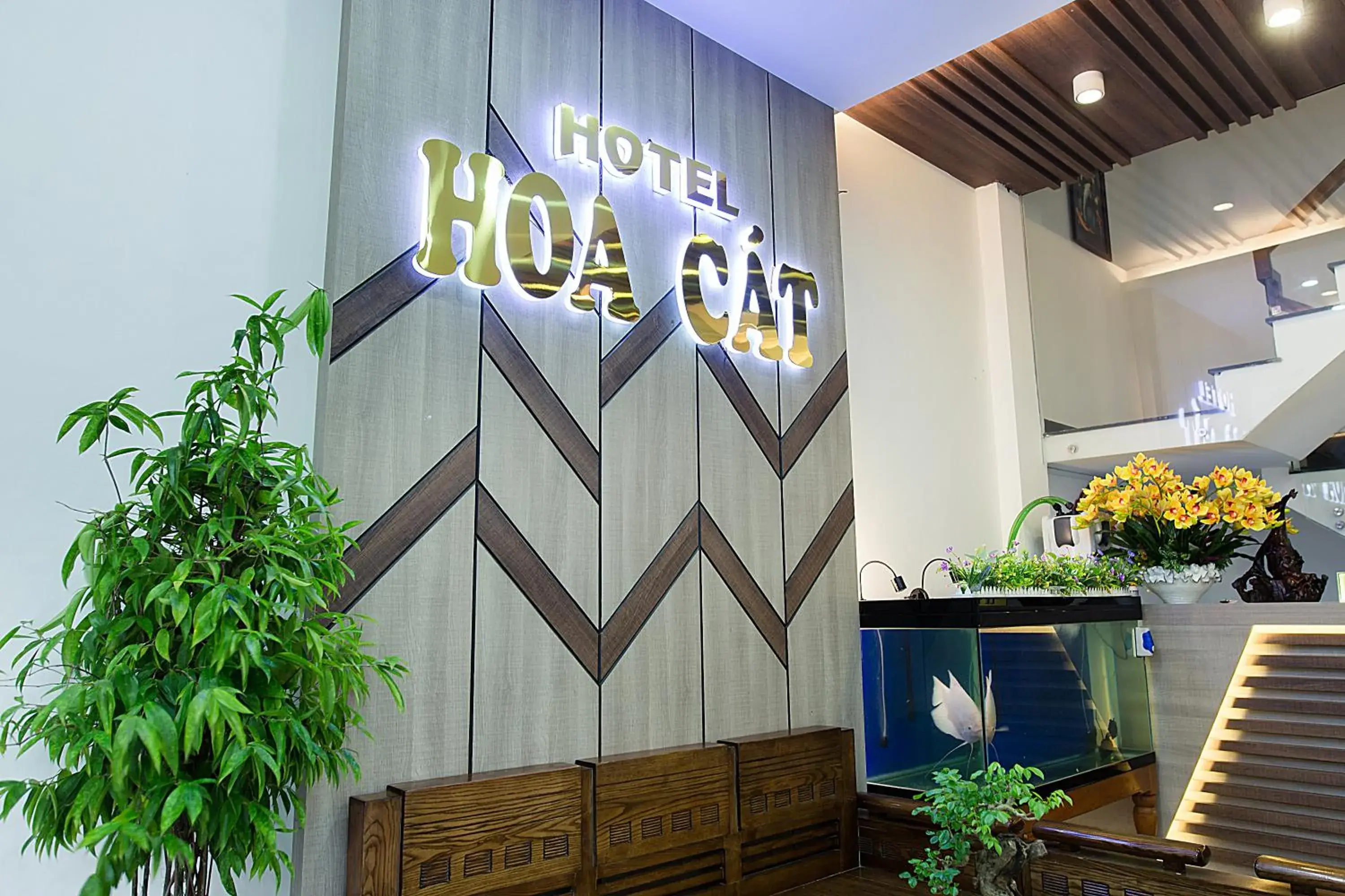 Hoa Cát Hotel Hoa Cát Hotel