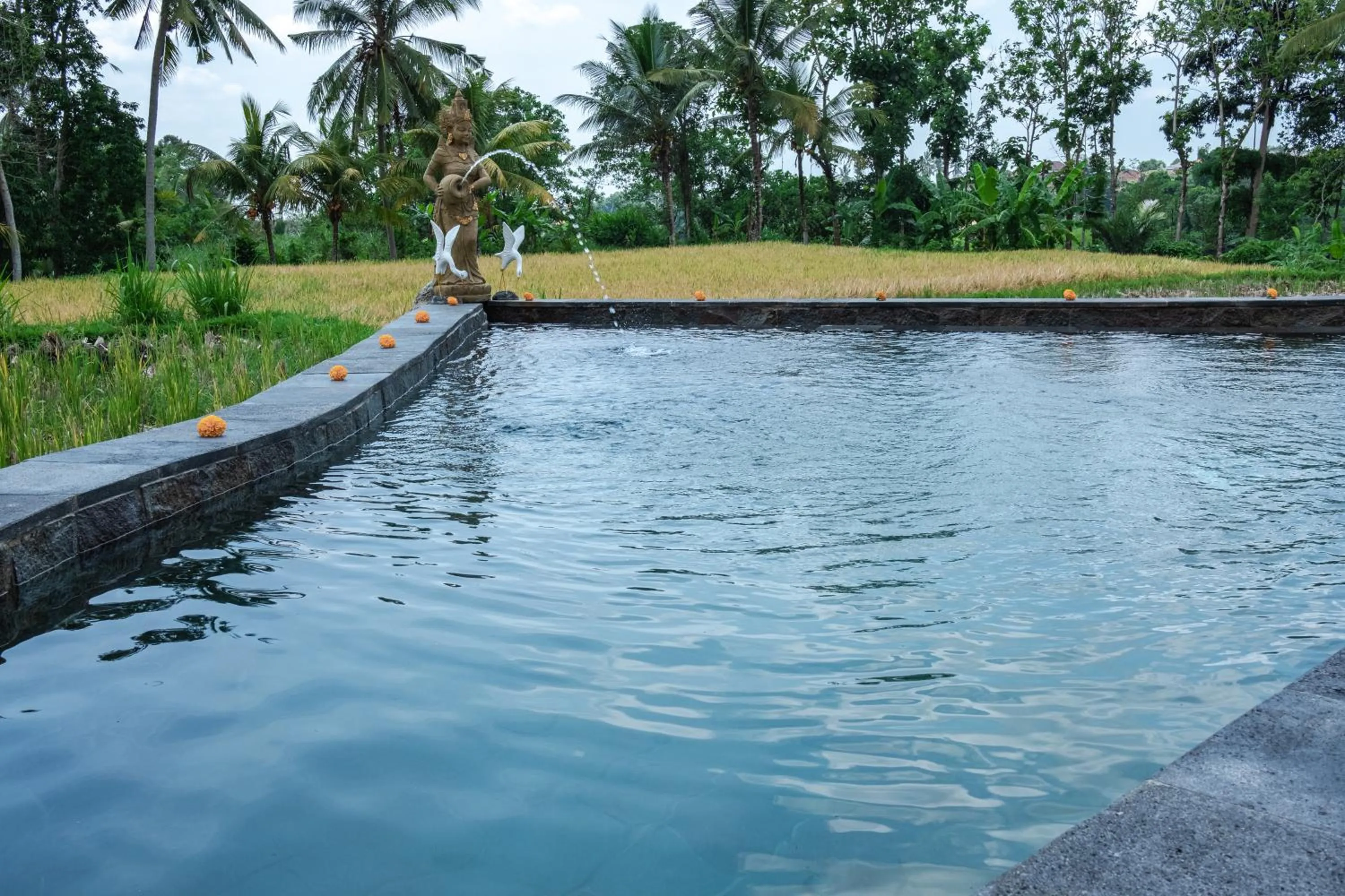 Swimming pool in Kidem Ubud Villas