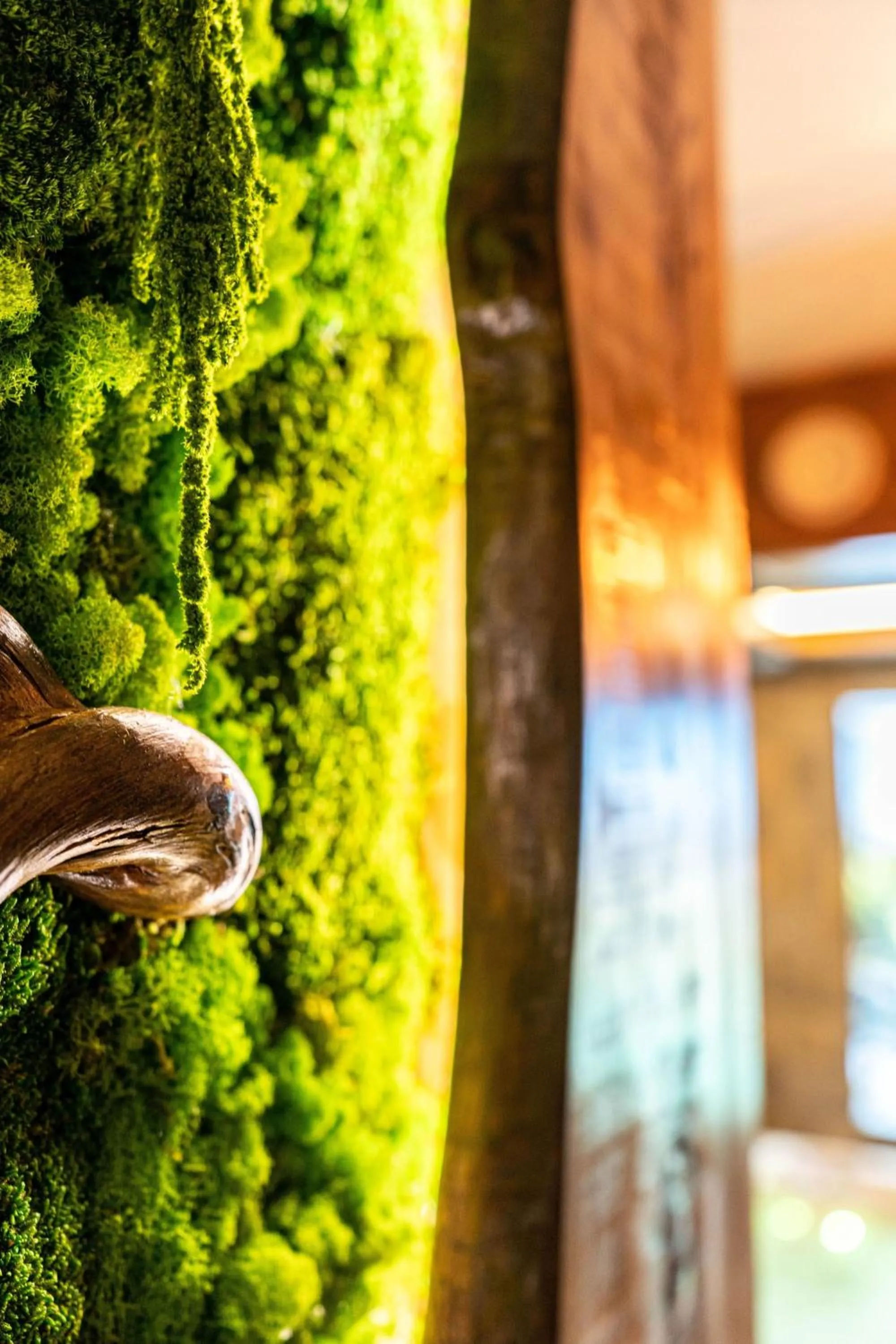 Hot Tub in Rezydencja Markowy Dworek