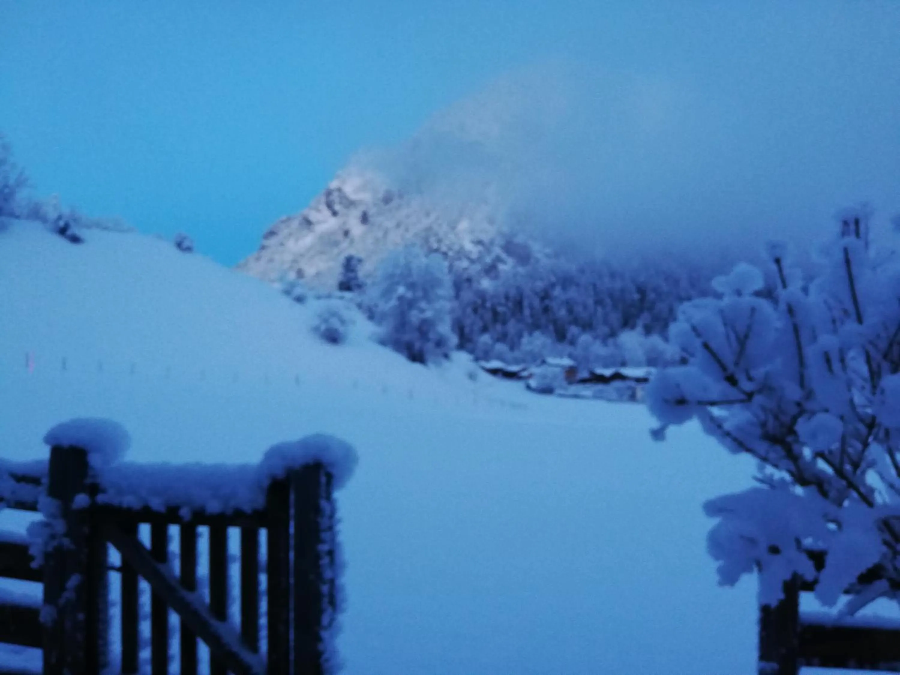 View (from property/room) in Gästehaus Pürstl-Kocher