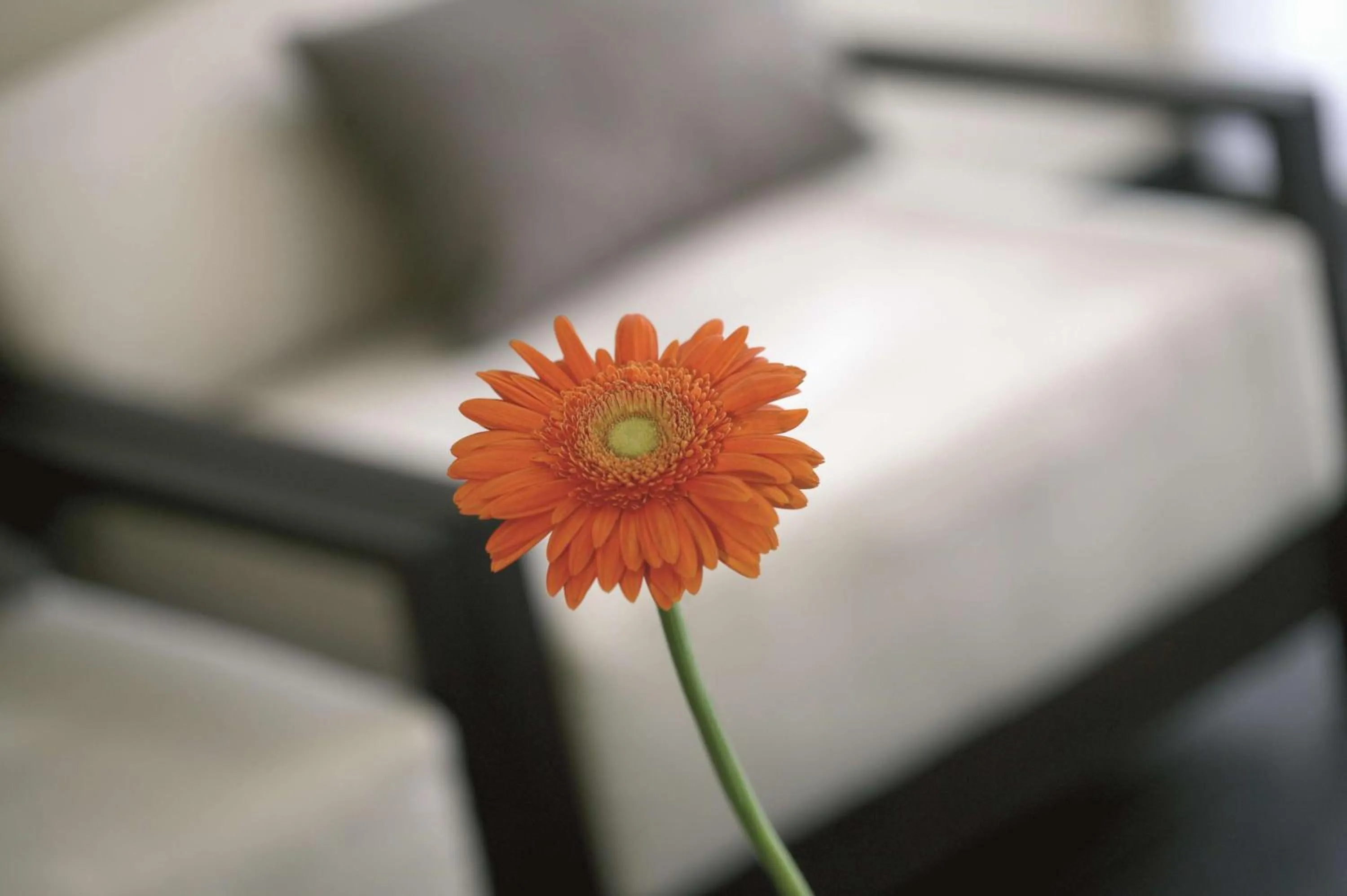 Other, Bed in NH Düsseldorf Königsallee