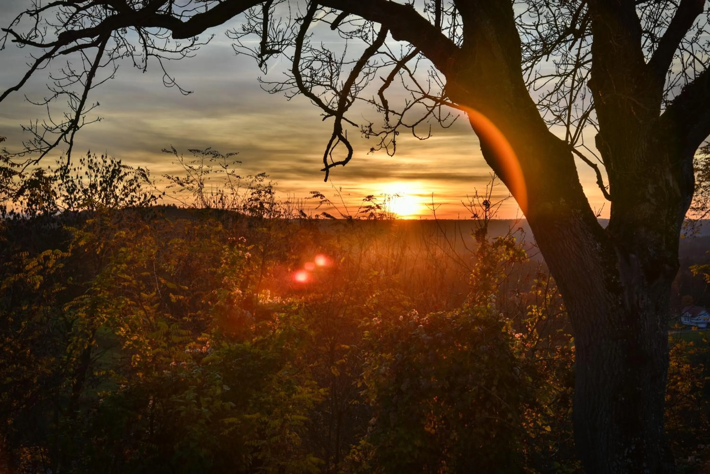 Neighbourhood in Landgasthof Falken