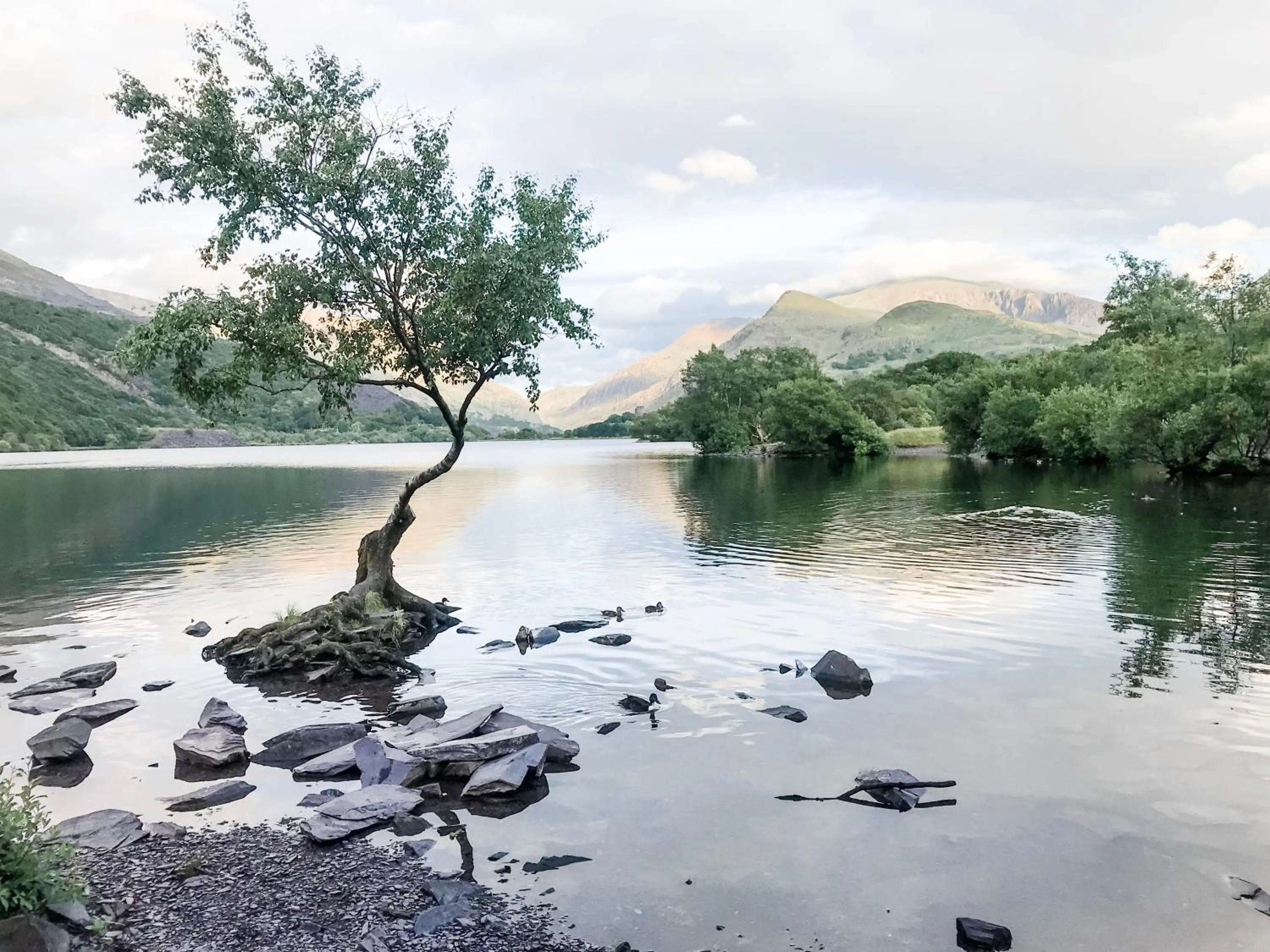 Natural landscape in Snowdonia Stone Cottage