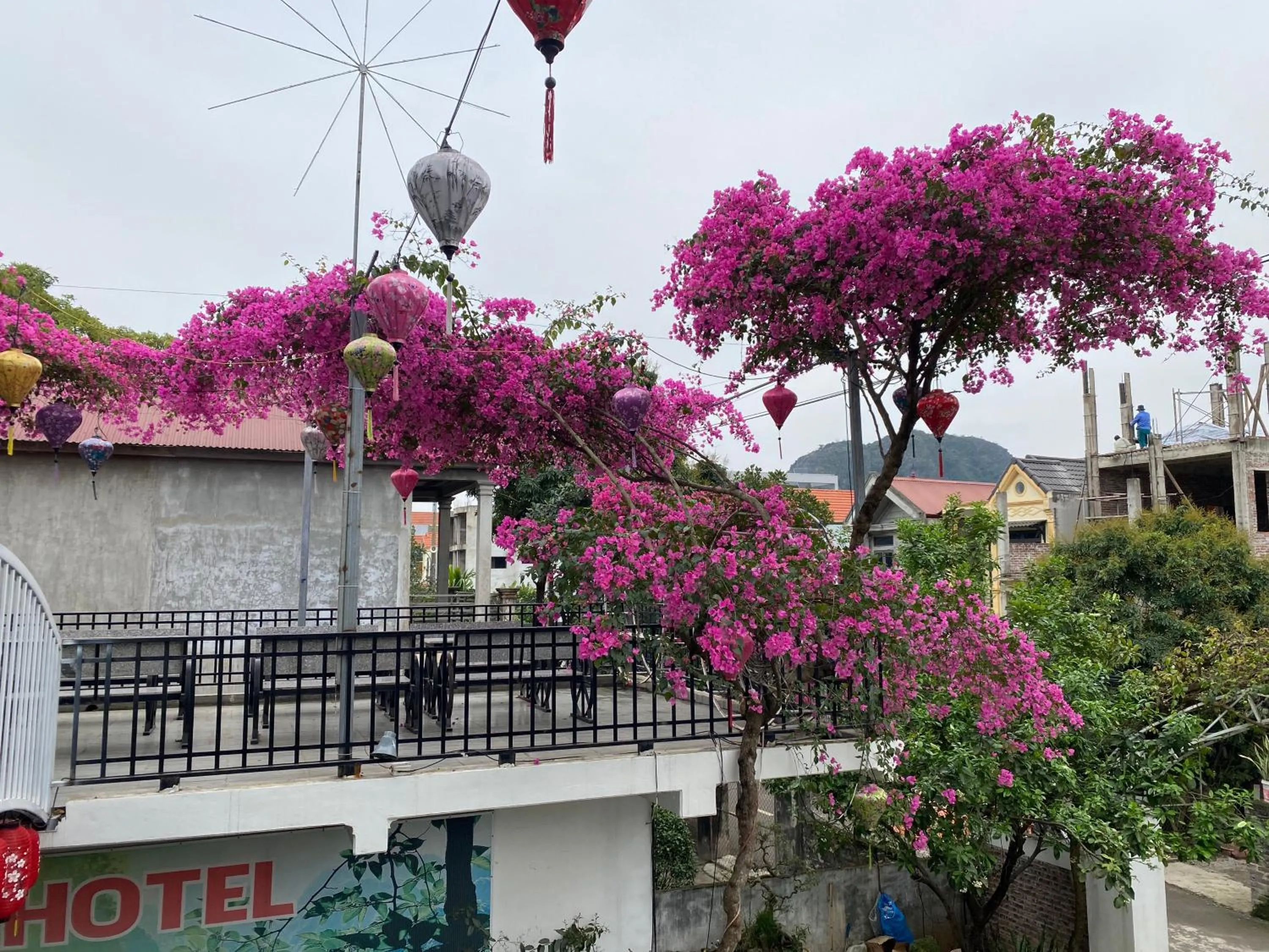 Elizabeth Hotel Tam Coc