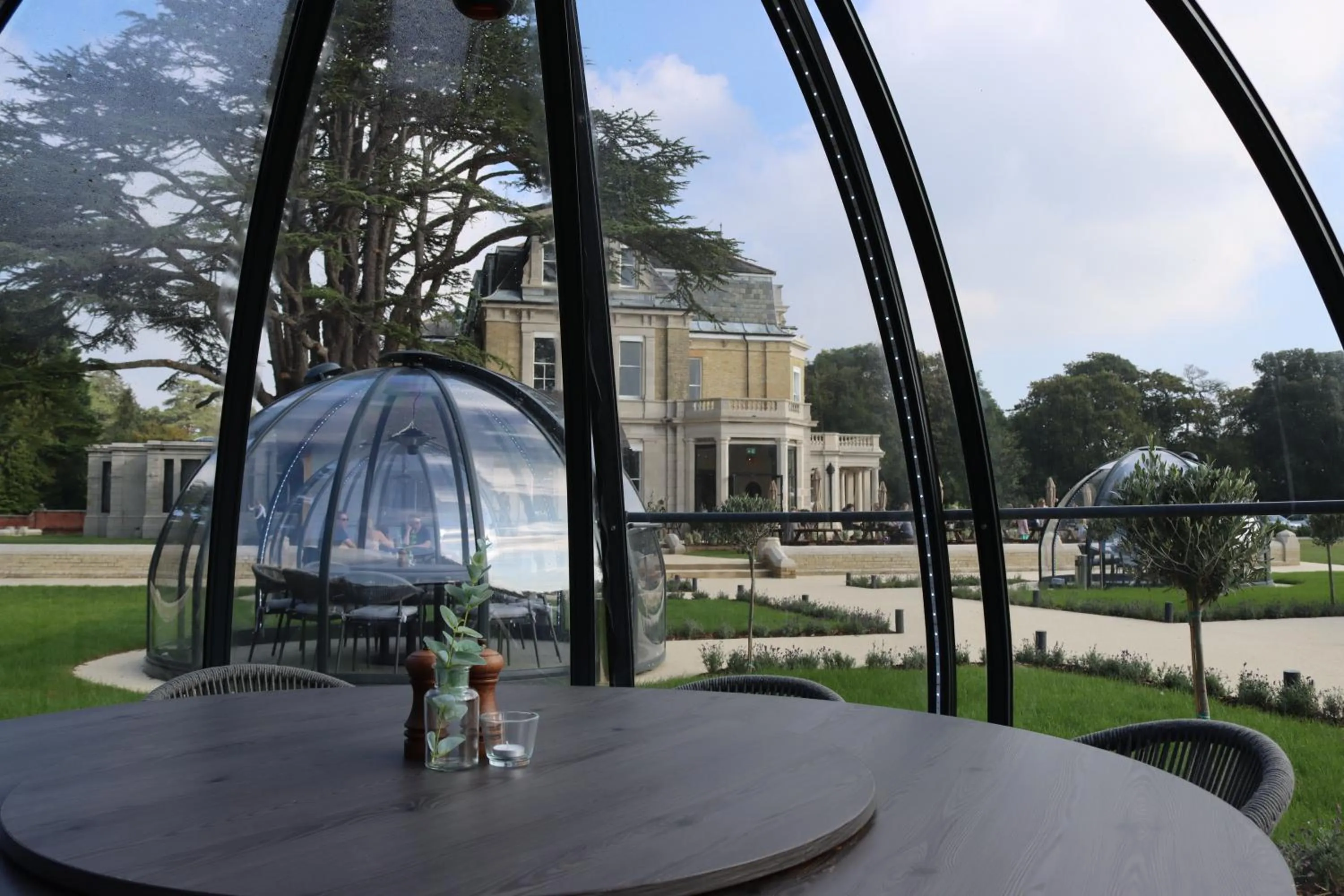 Restaurant/places to eat in Orange Grove Hotel & Gardens