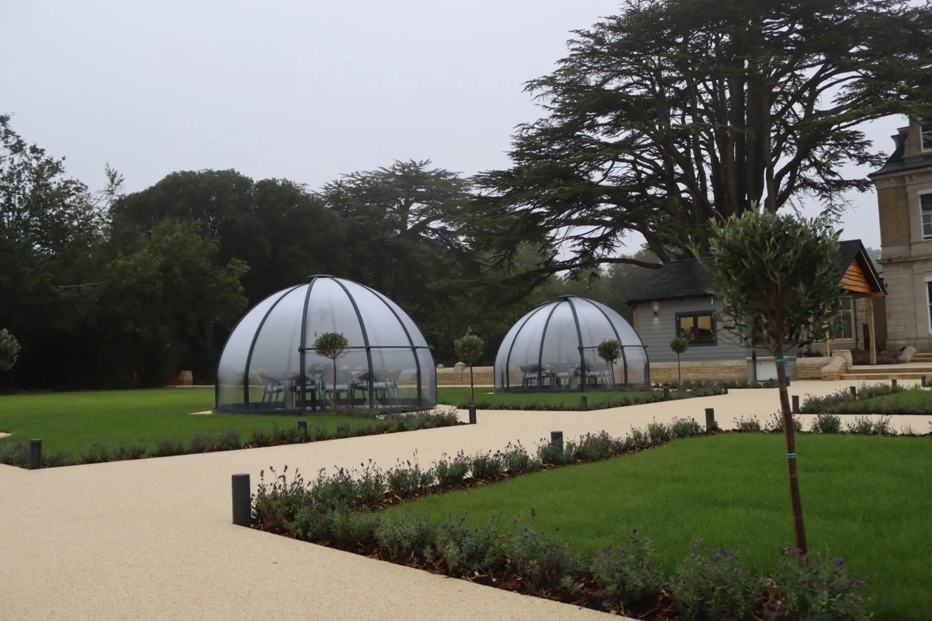 Restaurant/places to eat in Orange Grove Hotel & Gardens