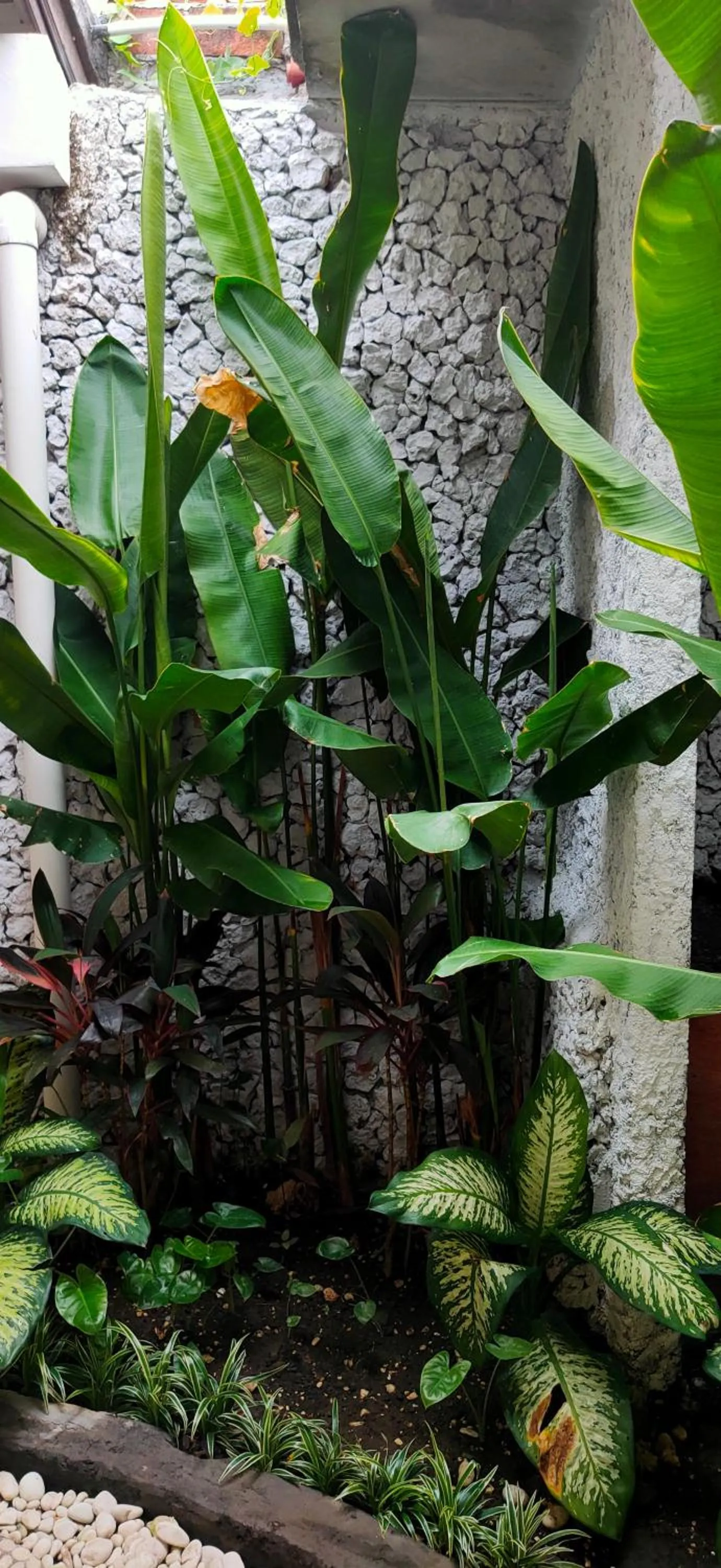 Natural landscape in Tegal Uma Seminyak by Maha Bali