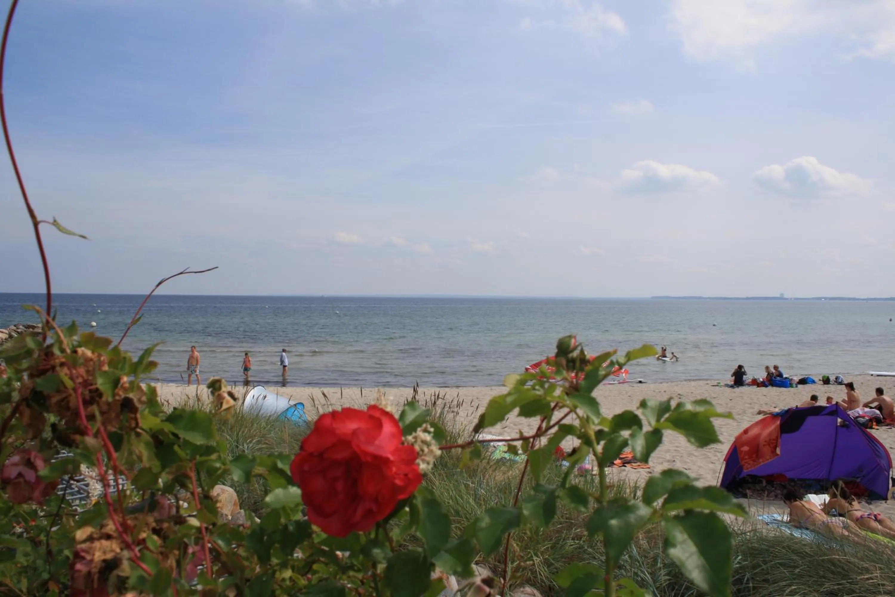 Cycling in Flair Landhotel Strengliner Mühle