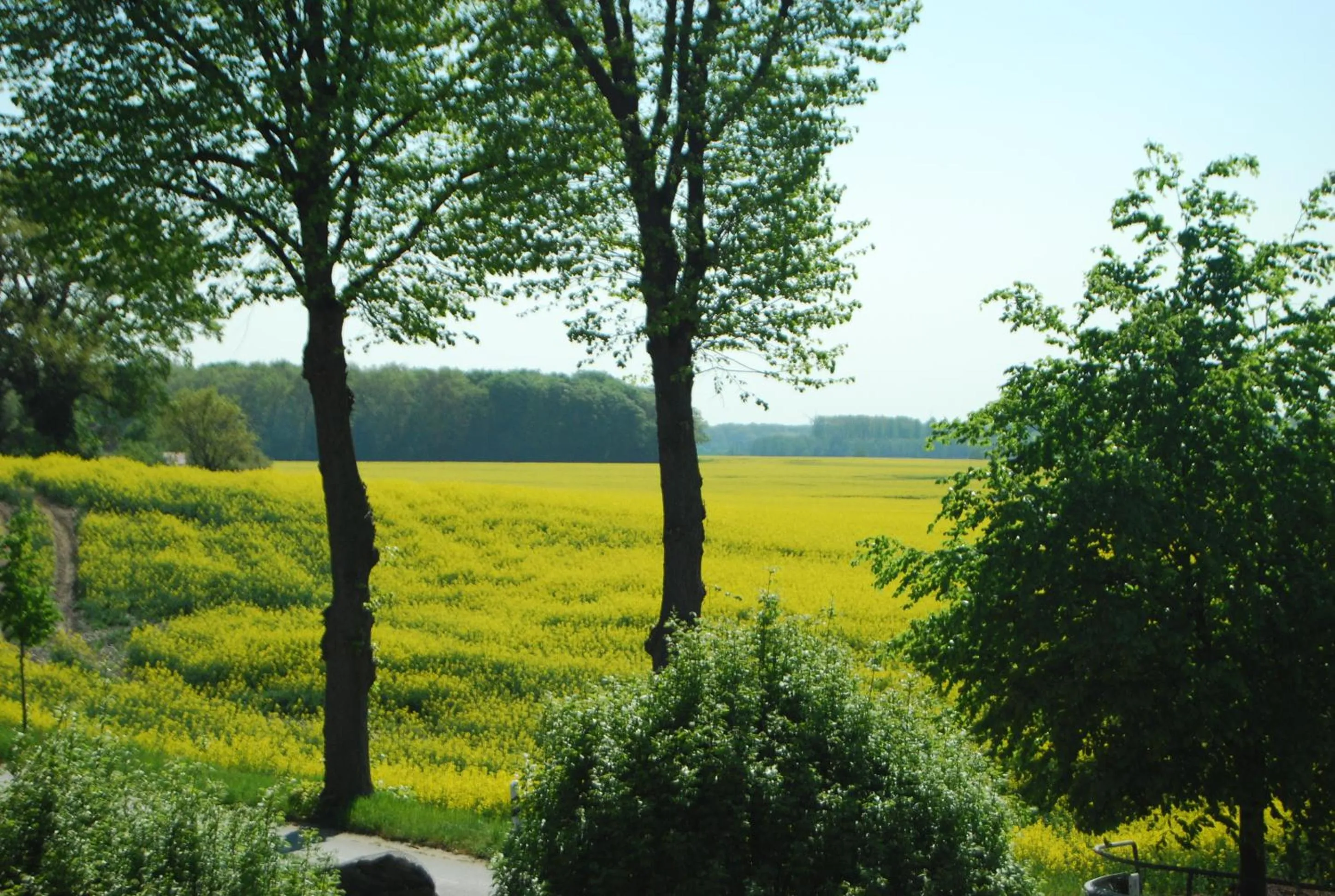 Cycling in Flair Landhotel Strengliner Mühle