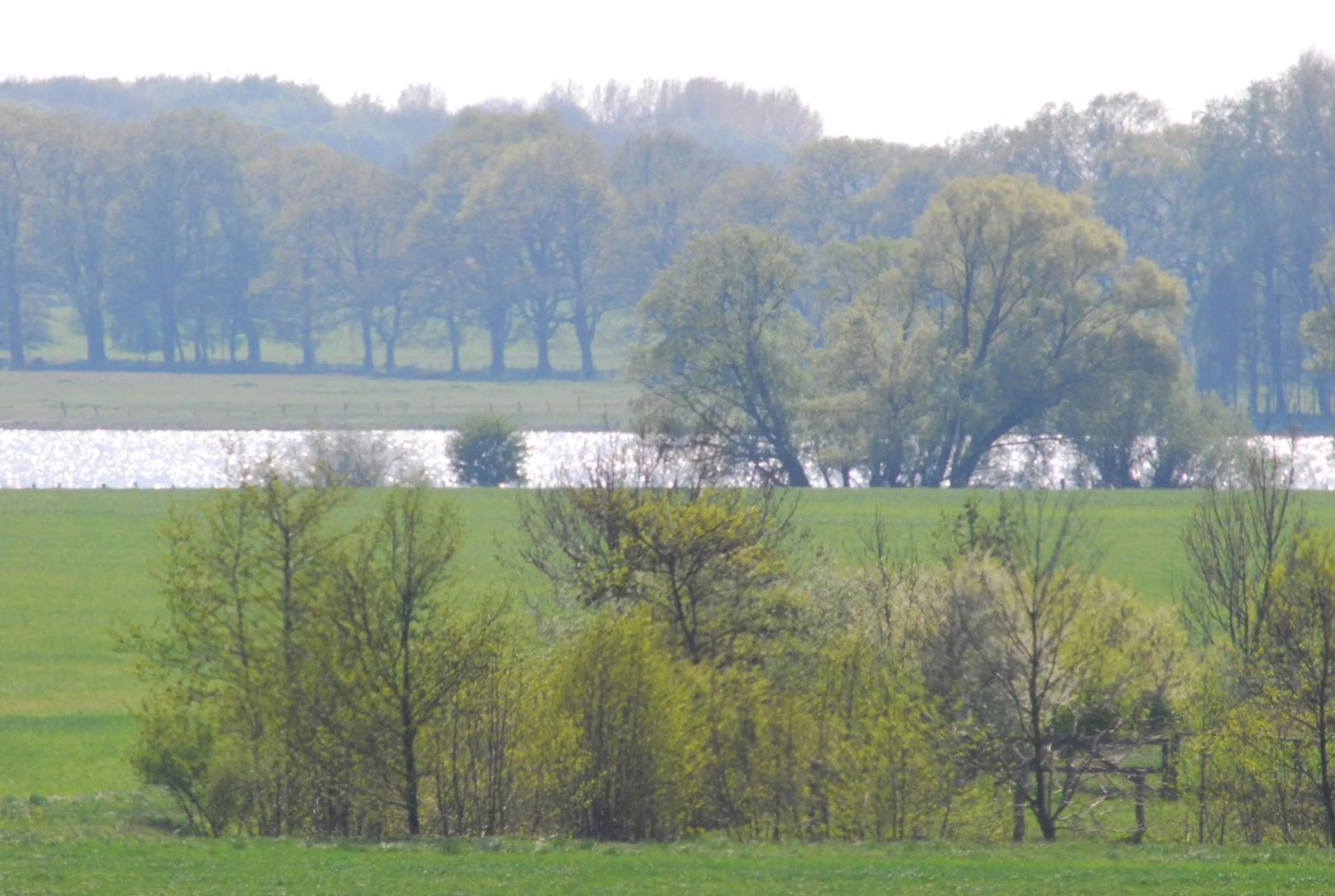 Cycling in Flair Landhotel Strengliner Mühle