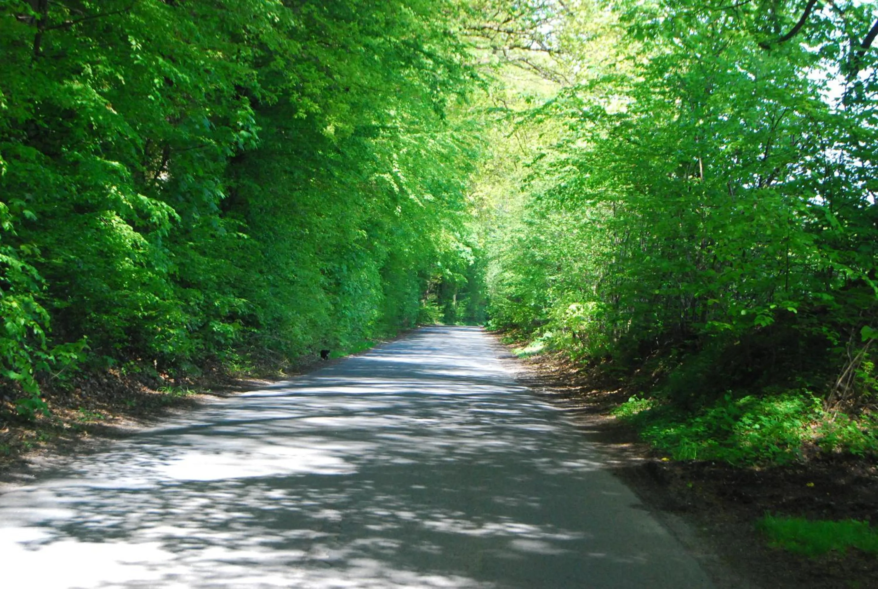 Cycling in Flair Landhotel Strengliner Mühle