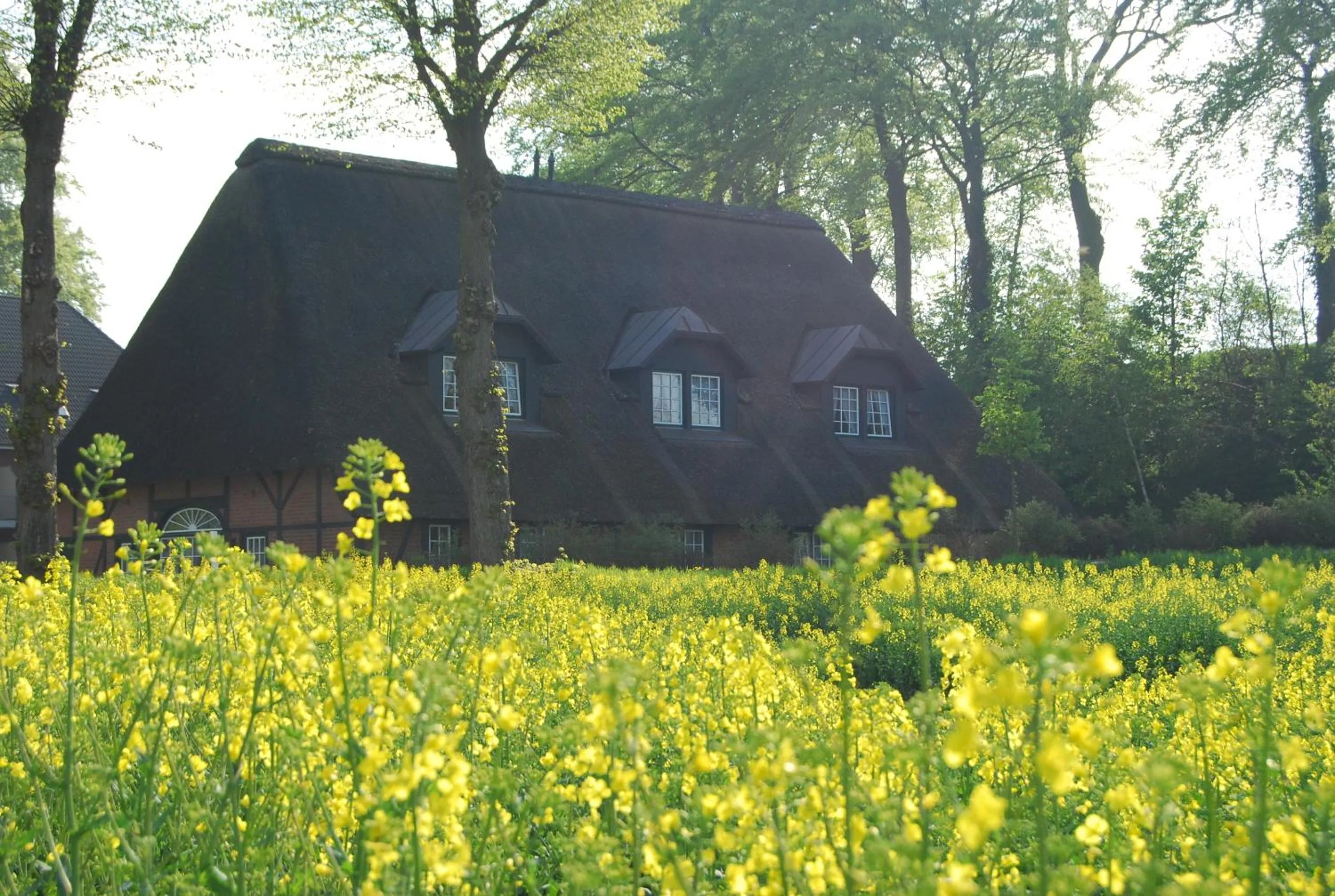 Property building in Flair Landhotel Strengliner Mühle