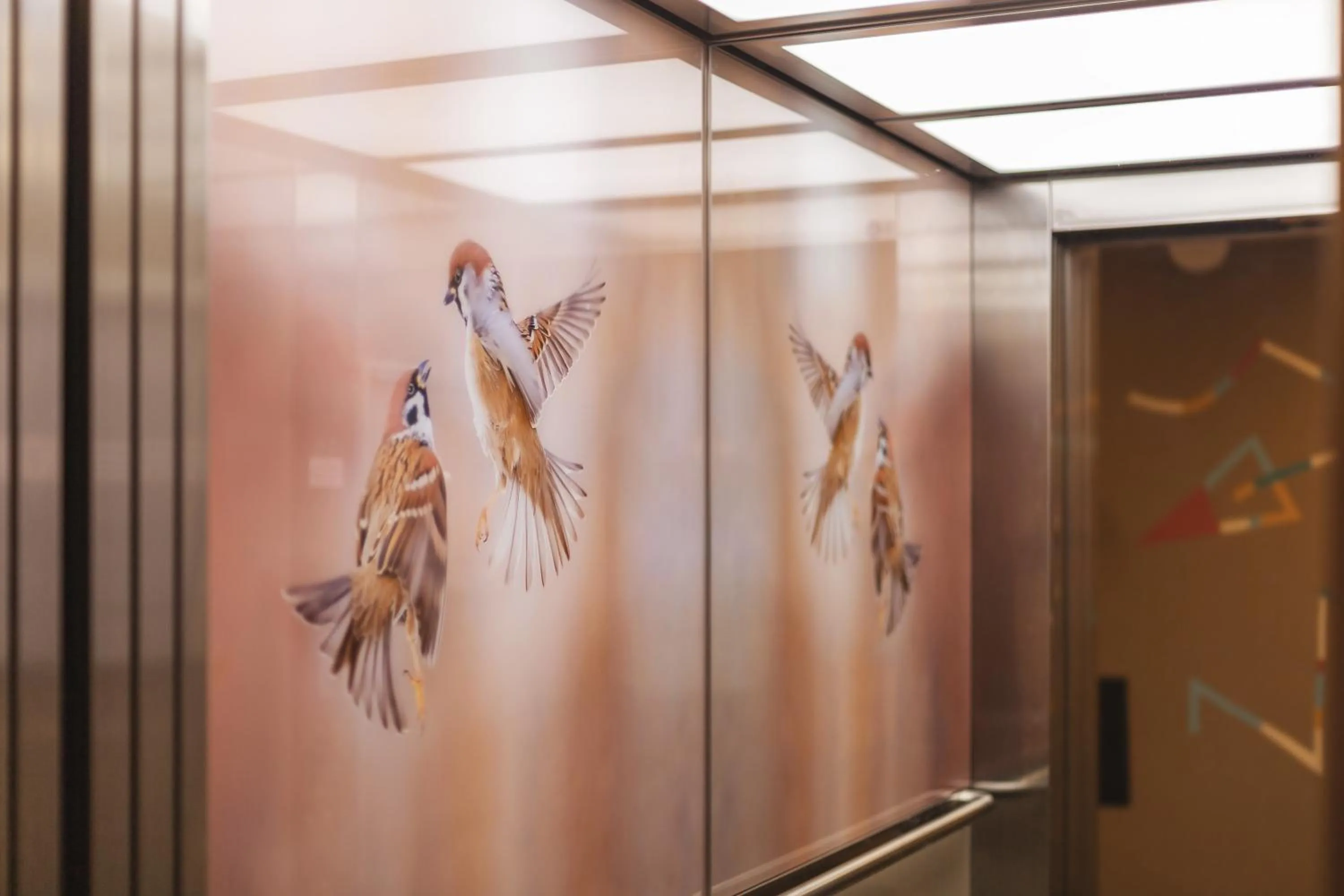 Decorative detail in Holiday Inn - the niu, Sparrow Regensburg by IHG