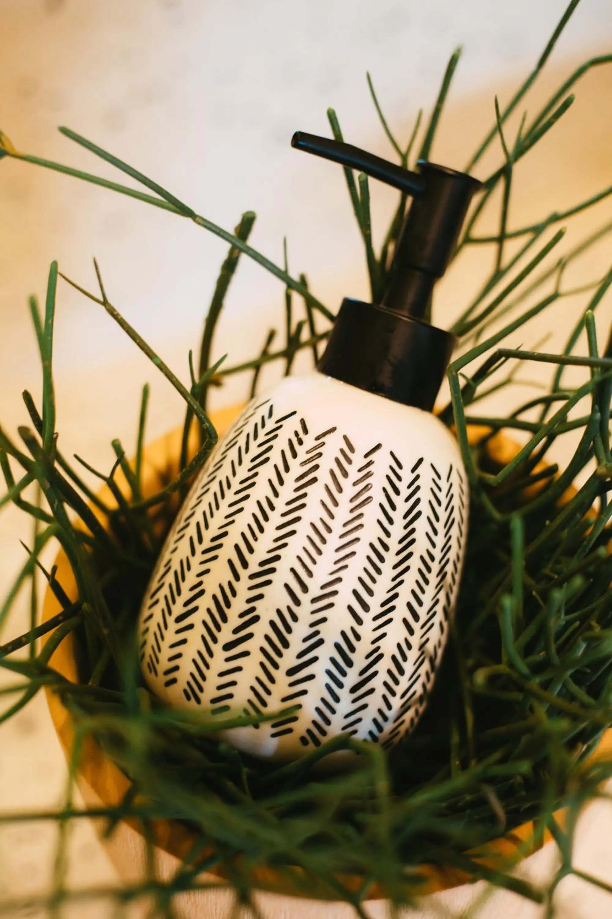 BARA BARA' Budget SATUN 'SHA Plus'