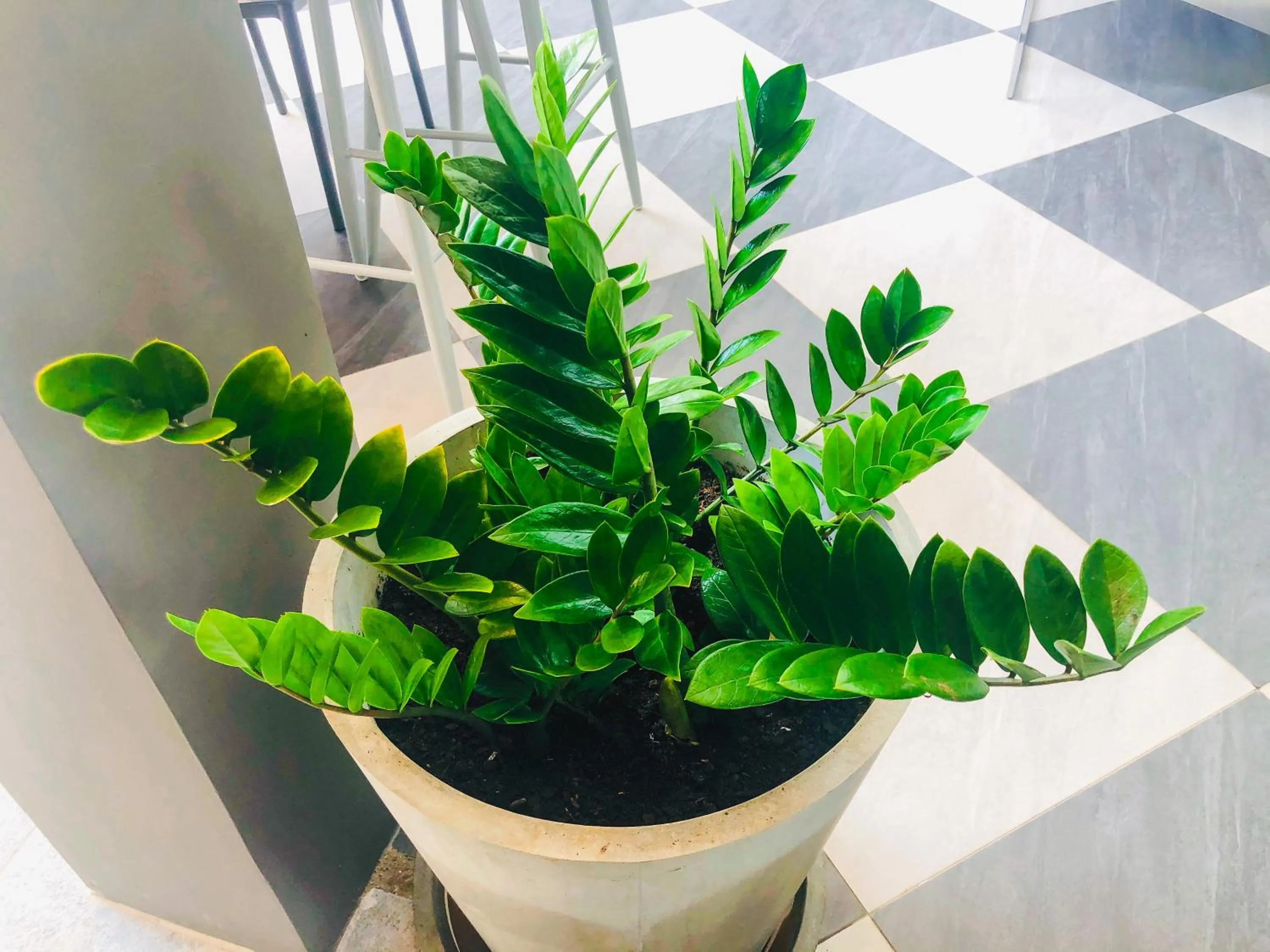 ARENICE Boutique Hotel