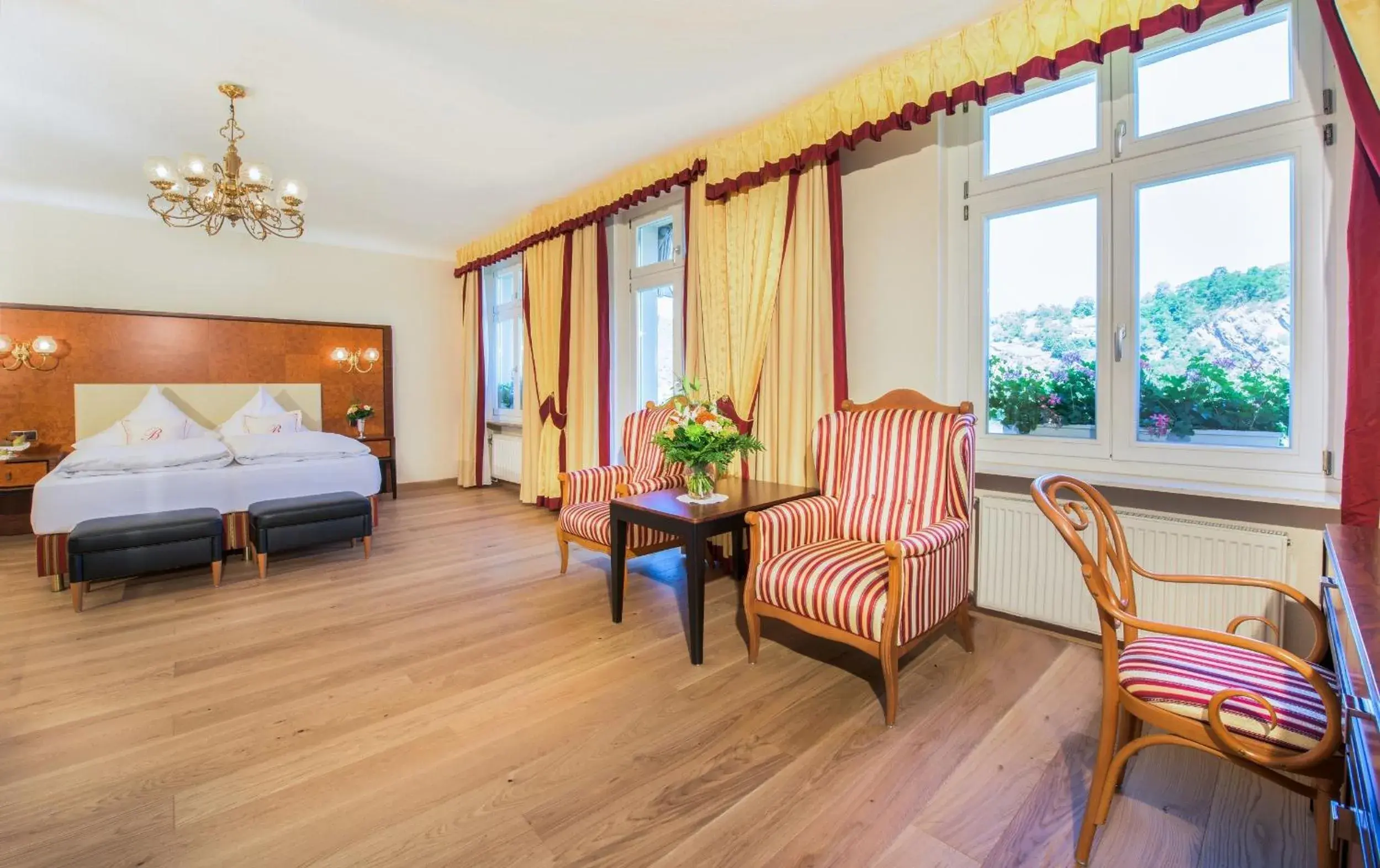 Standard Double Room in Bellevue Rheinhotel Standard Double Room in Bellevue Rheinhotel