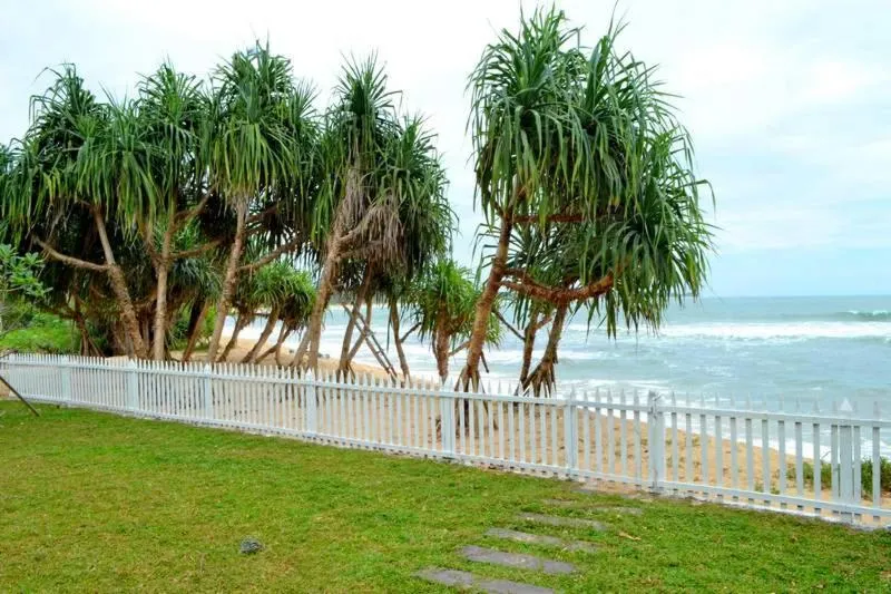 Natural landscape in Guru Beach Resort