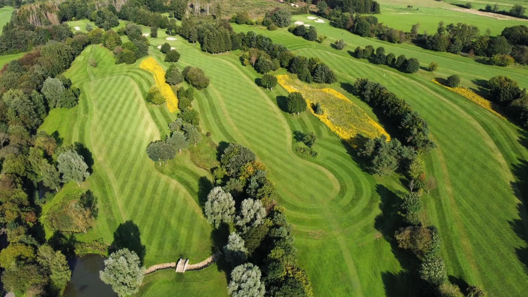 Golfcourse in Golf- und Sporthotel Wiesensee
