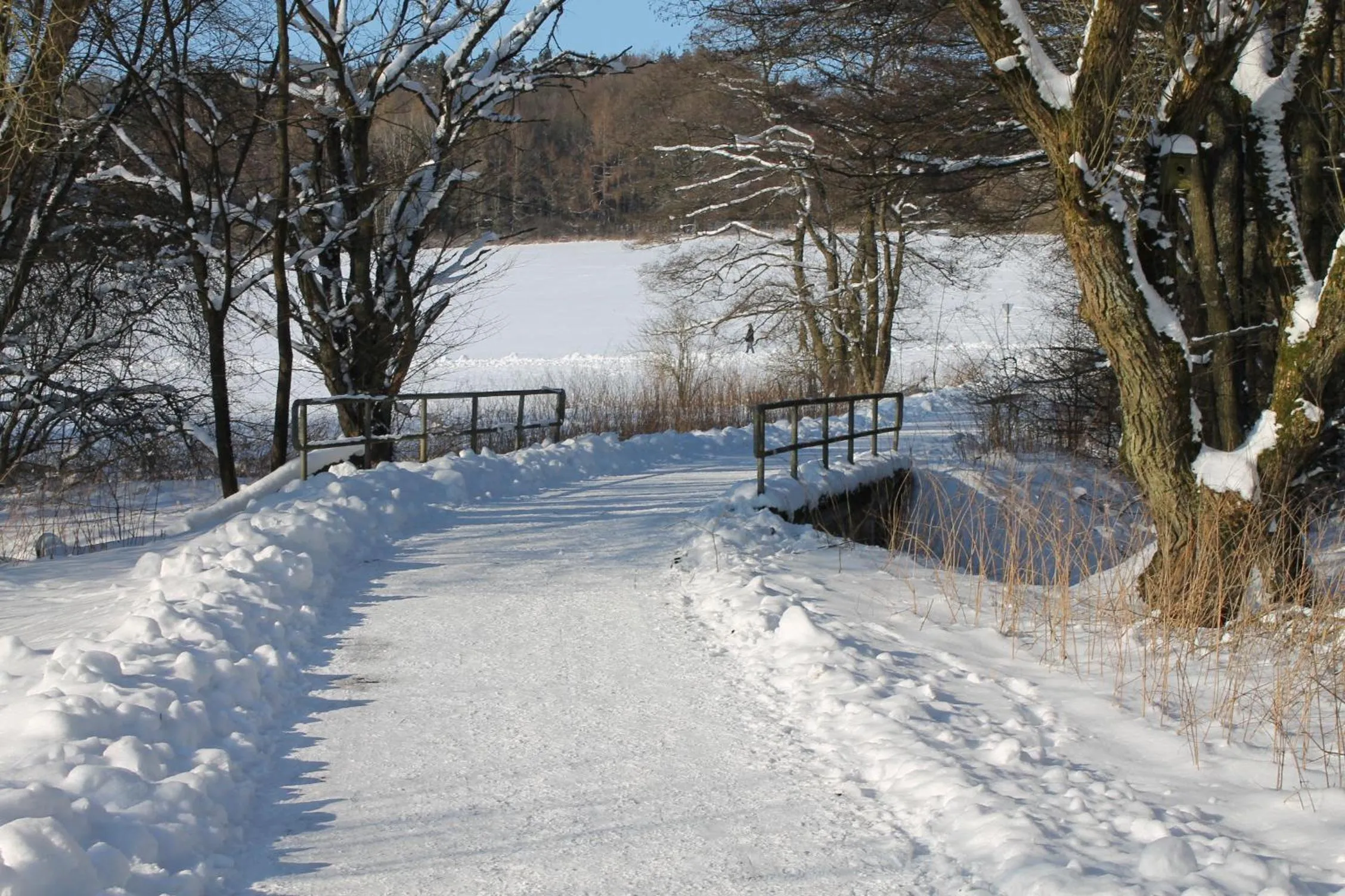 Off site in Golf- und Sporthotel Wiesensee