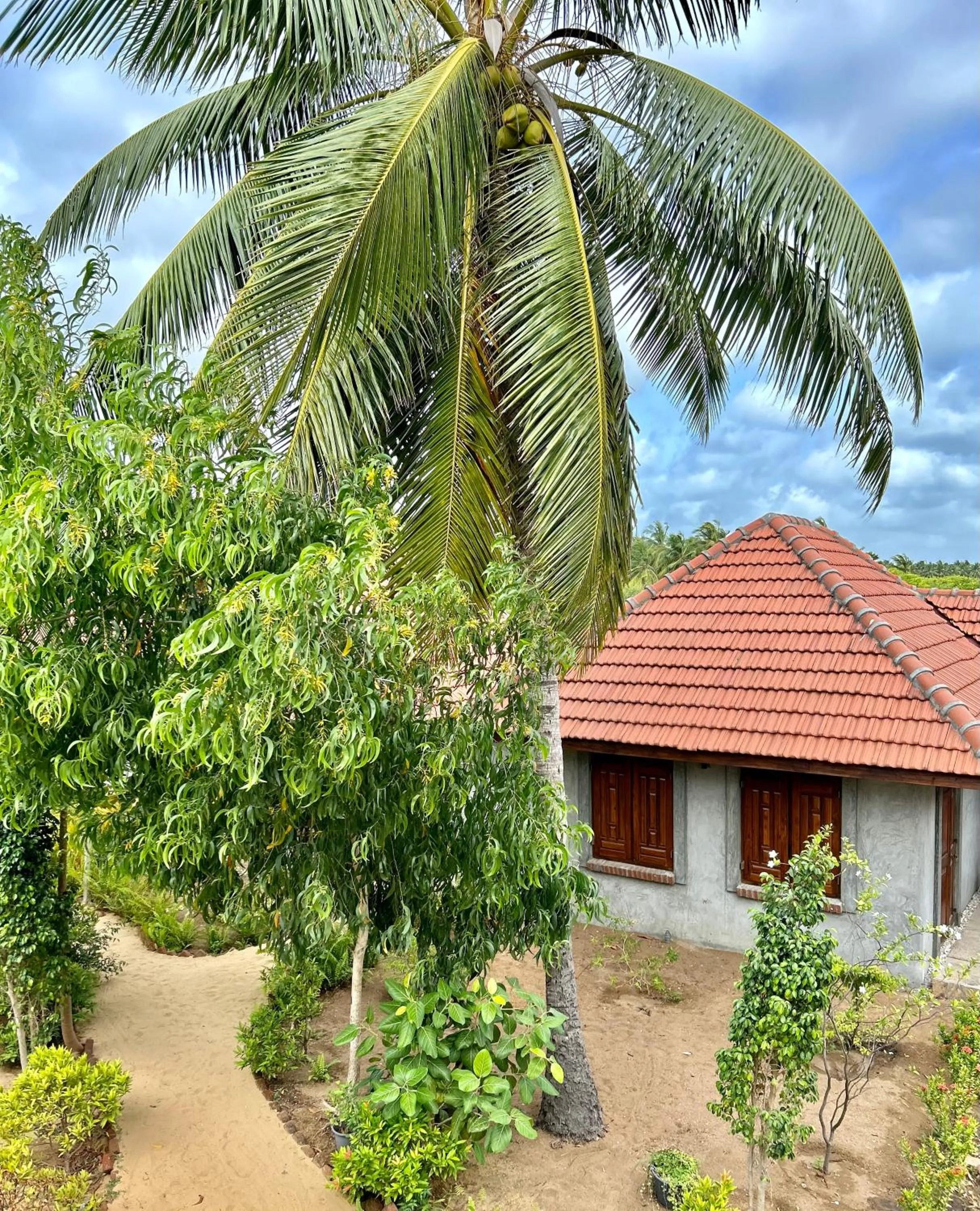 Arasi Resort
