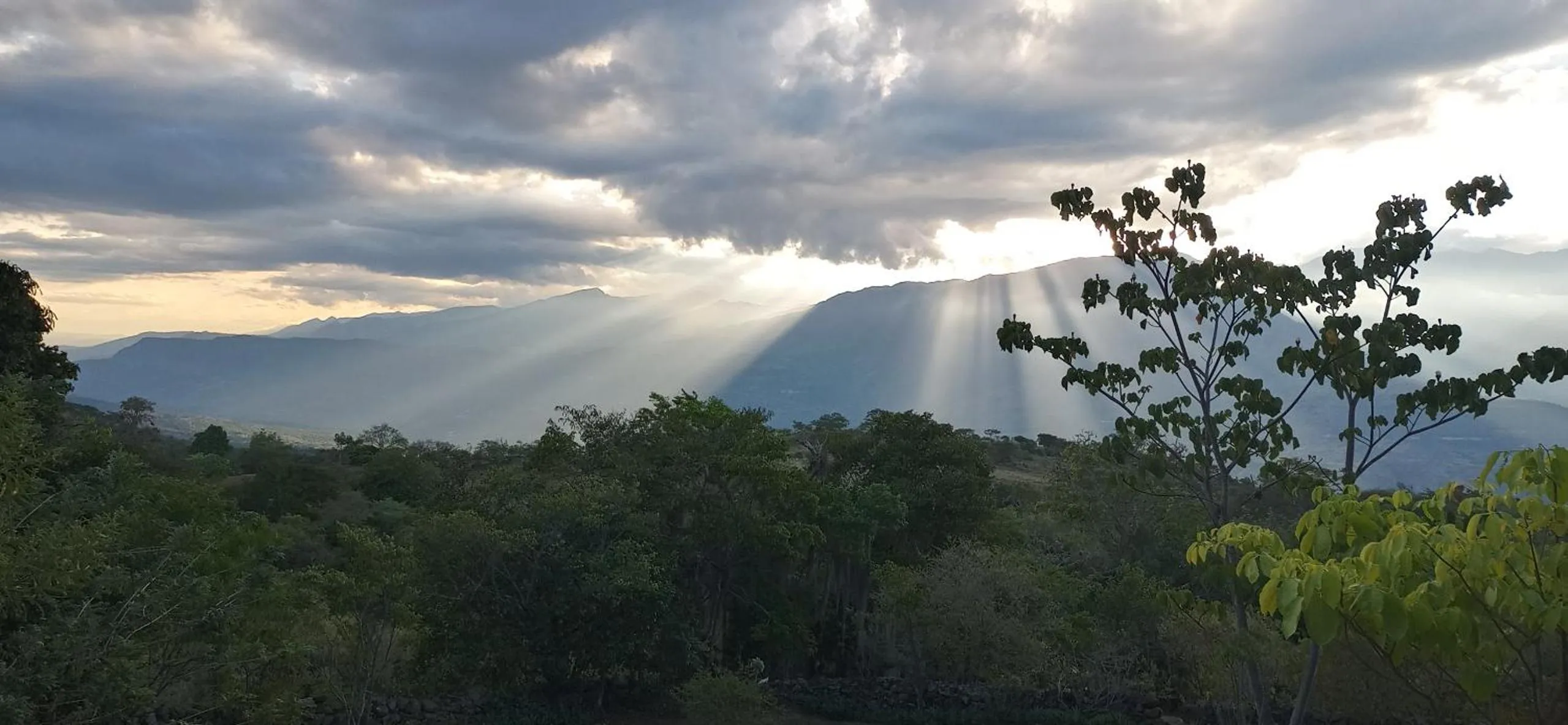 El Paraiso - B&B Finca San Vicente