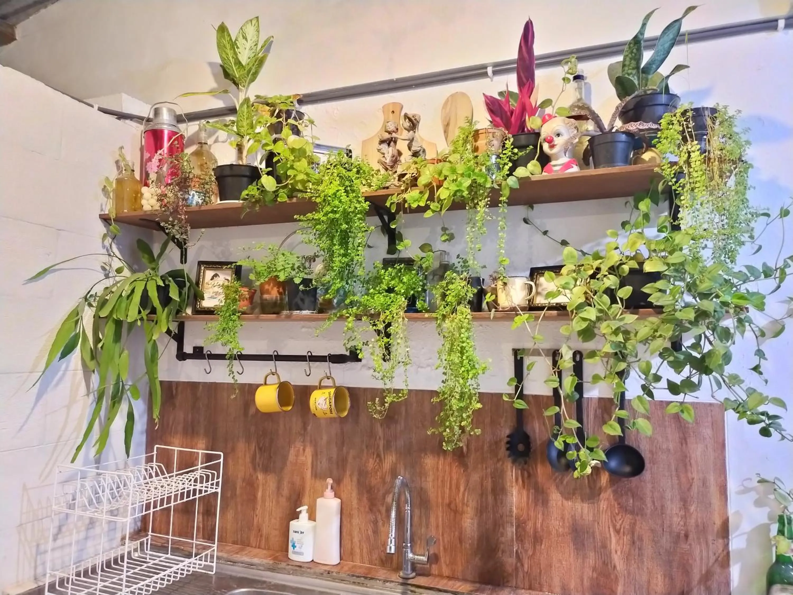 Area and facilities in SEMERU HOSTEL MALANG