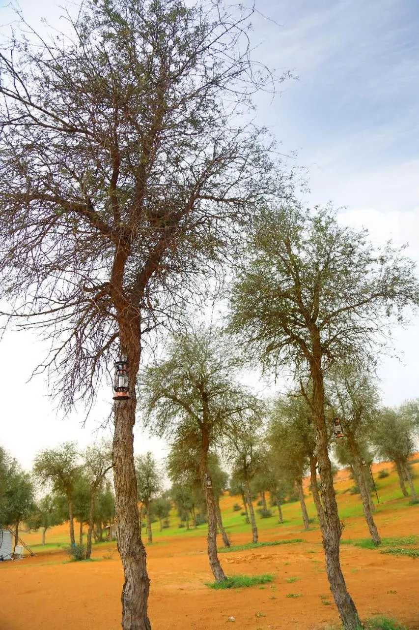 The Dunes Camping & Safari RAK