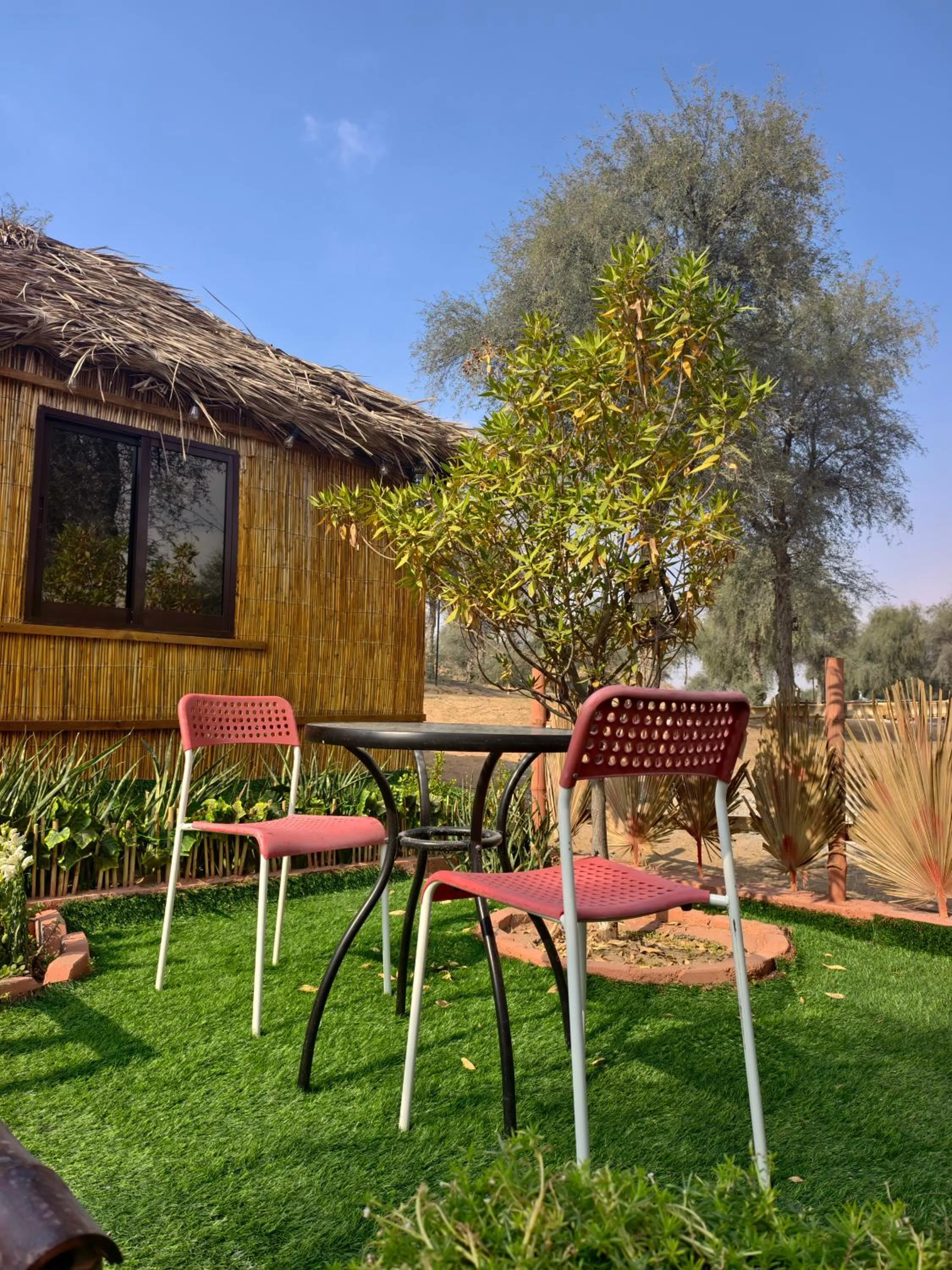 The Dunes Camping & Safari RAK