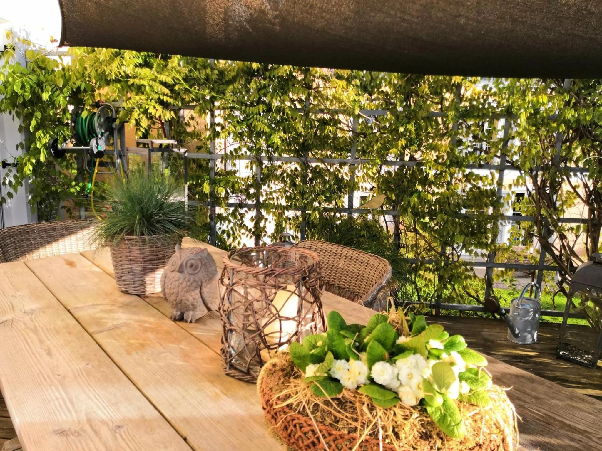Patio in Ampervilla Hotel