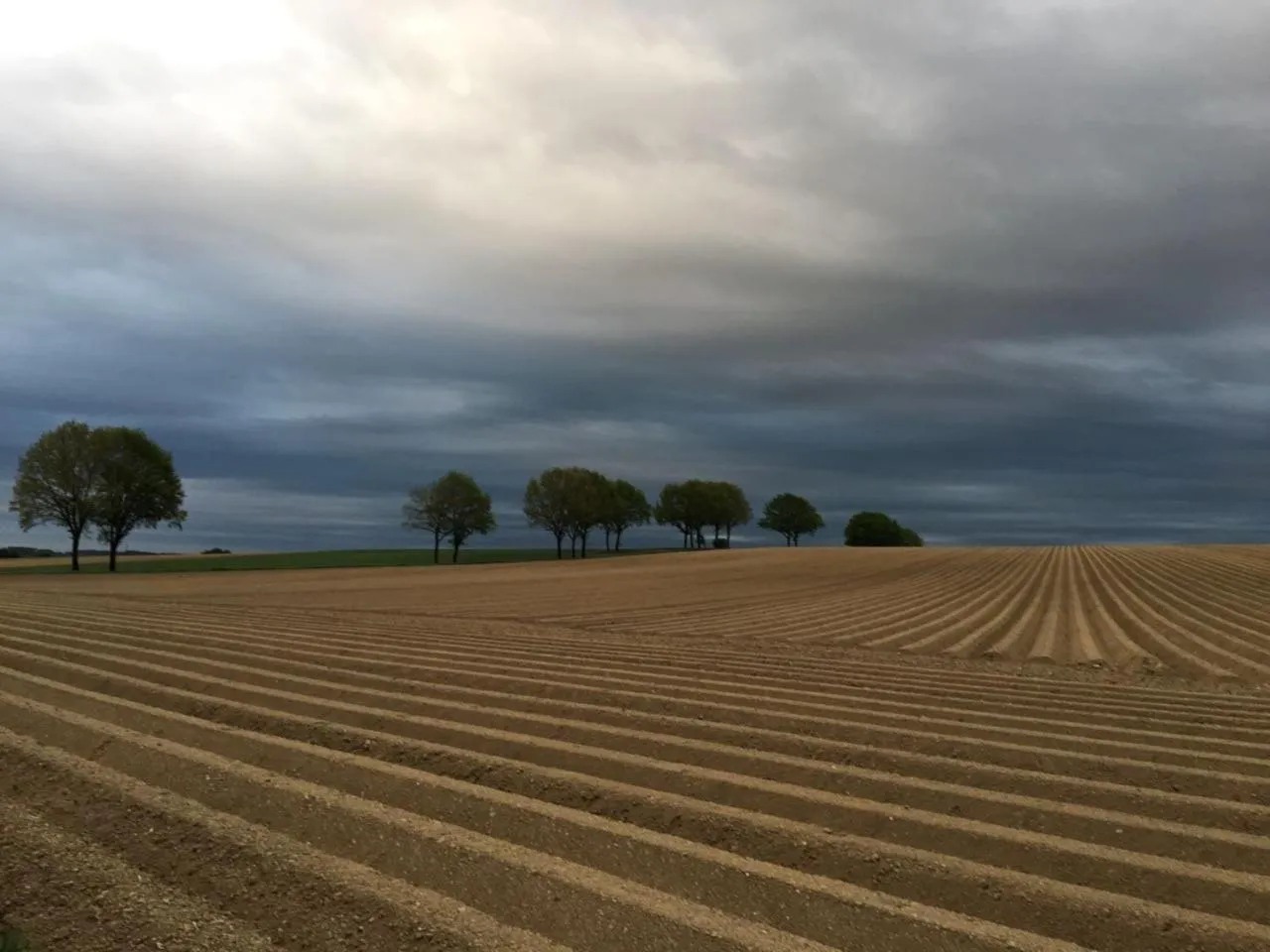 Natural landscape in Ampervilla Hotel