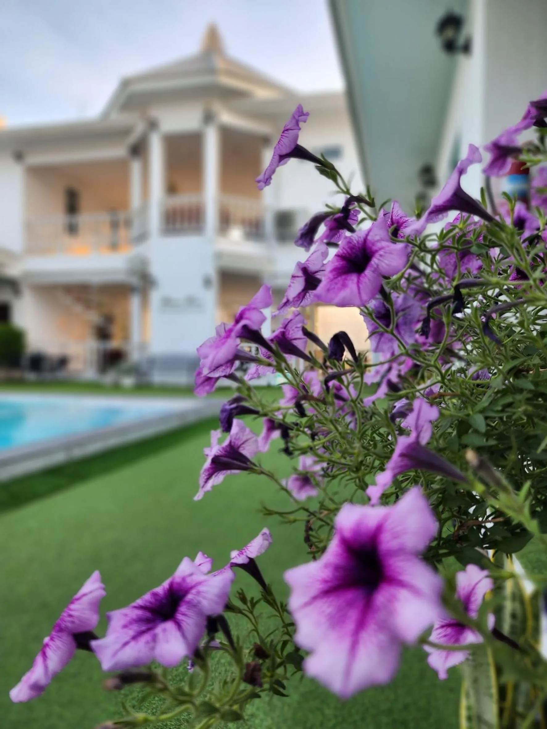 Pool view in Bianco House Resort
