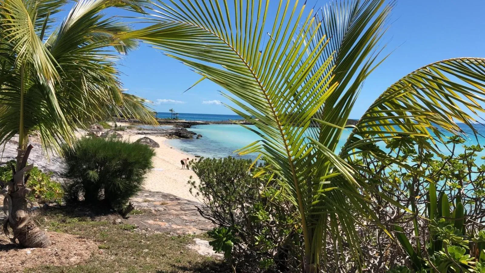 Activities in The Sunset Cove and Rainbow Room