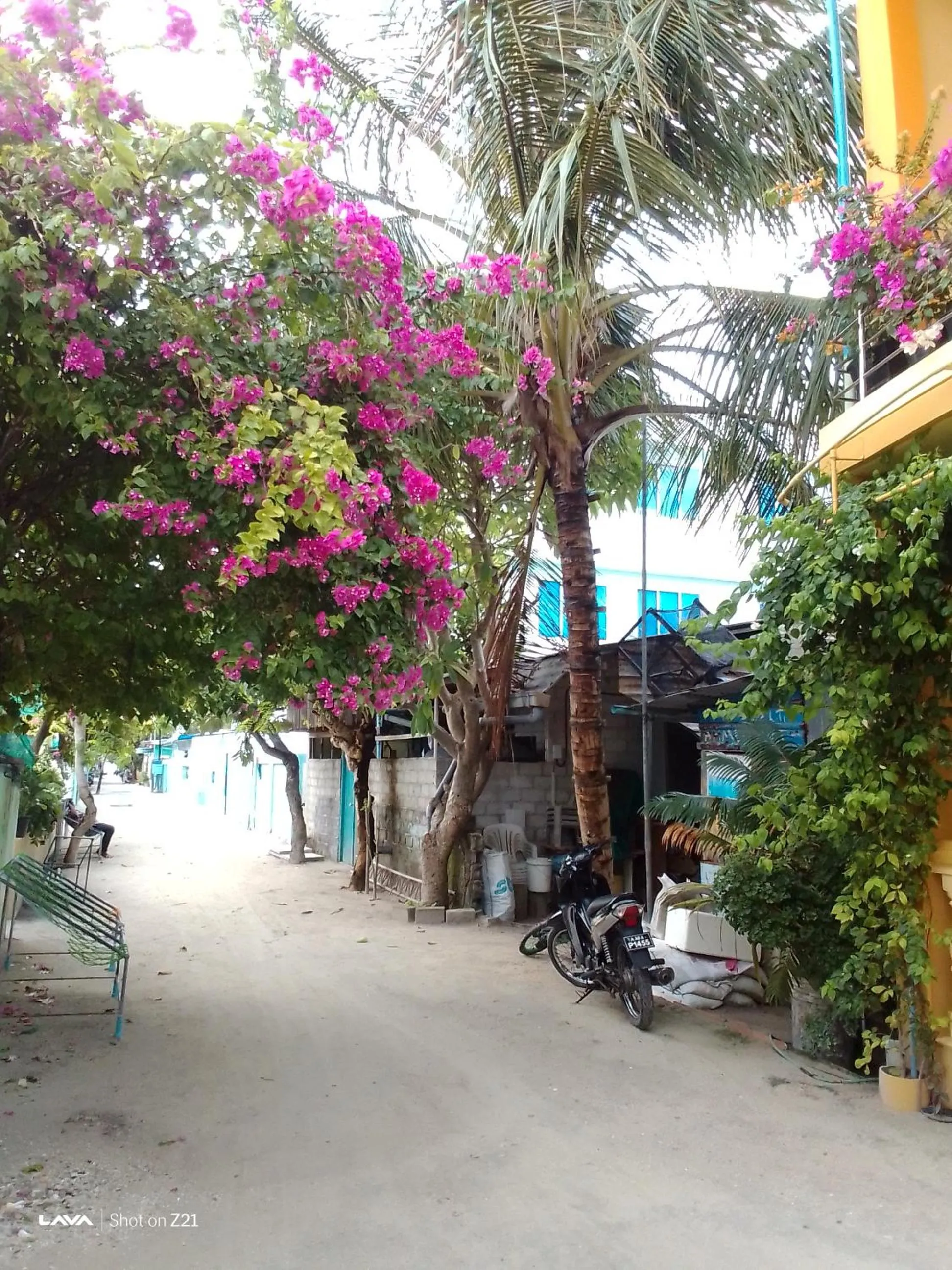 Day in Ocean Way Guraidhoo