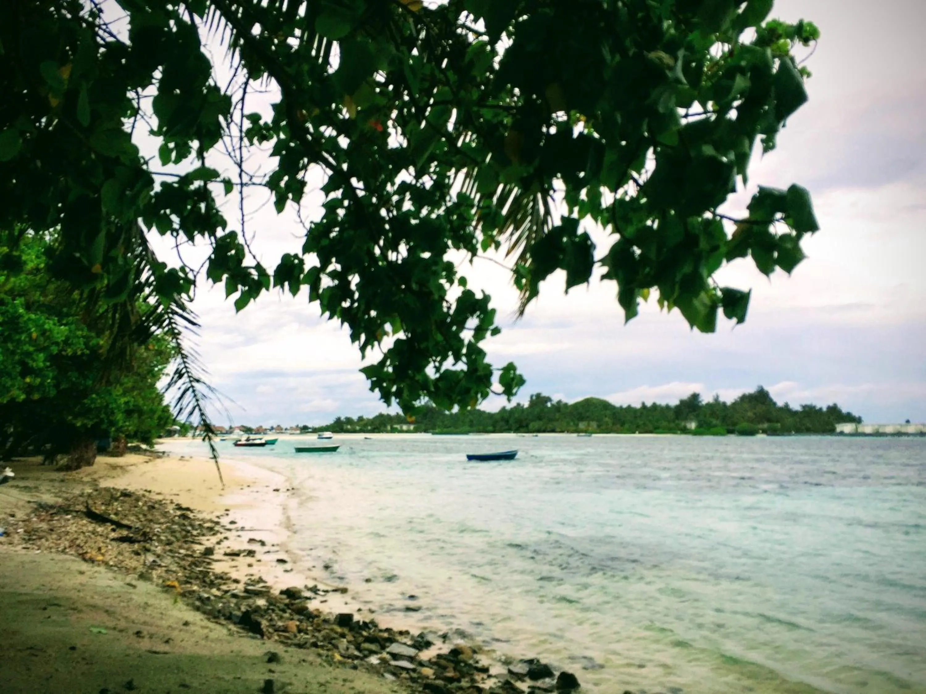 Natural landscape in Ocean Way Guraidhoo