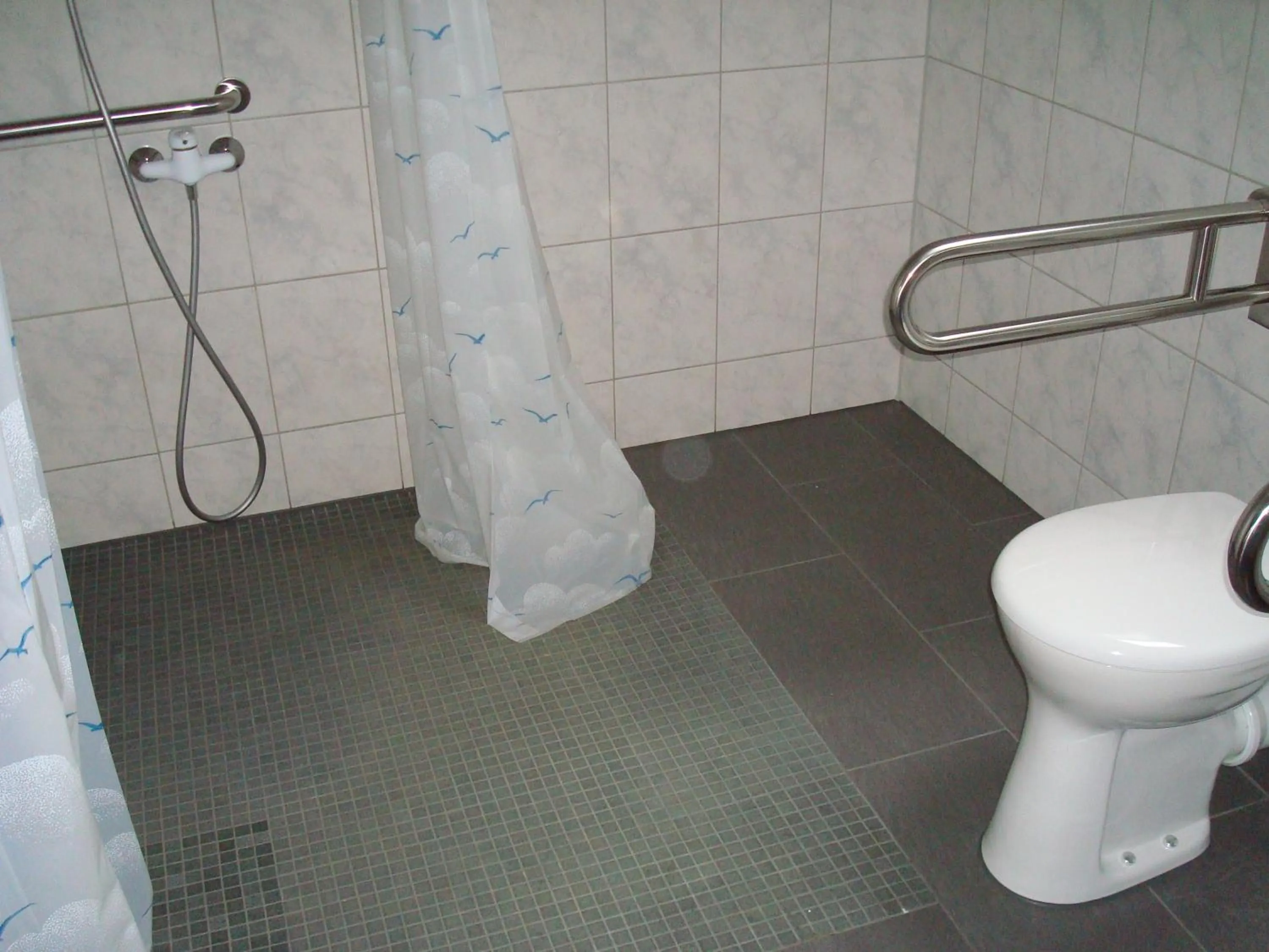 Shower in Landguthotel Hotel-Pension Sperlingshof